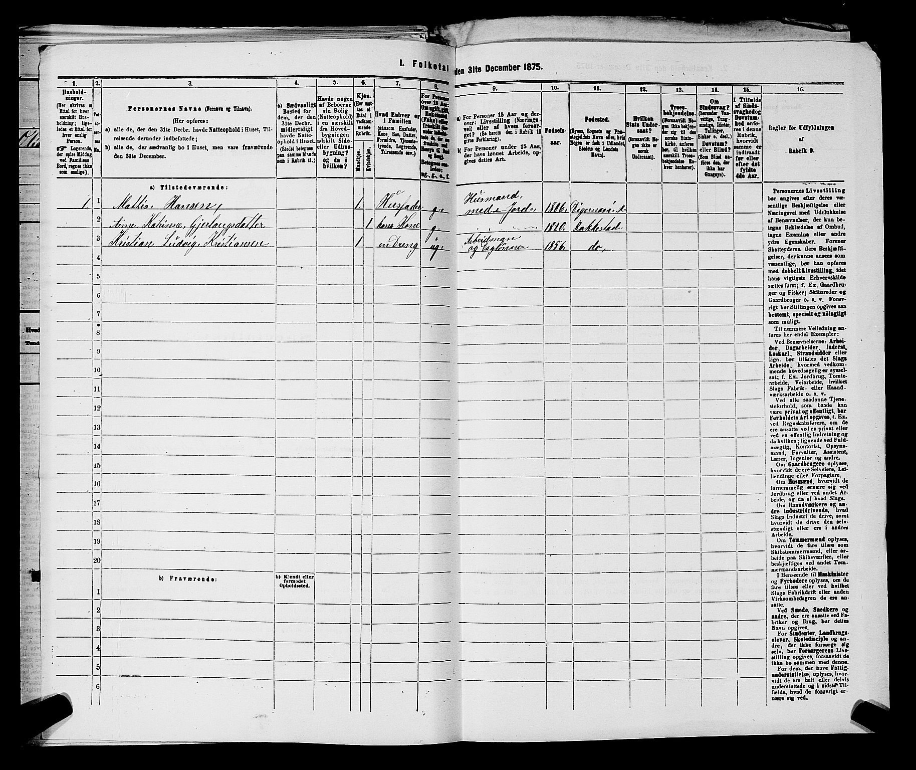 RA, 1875 census for 0128P Rakkestad, 1875, p. 733