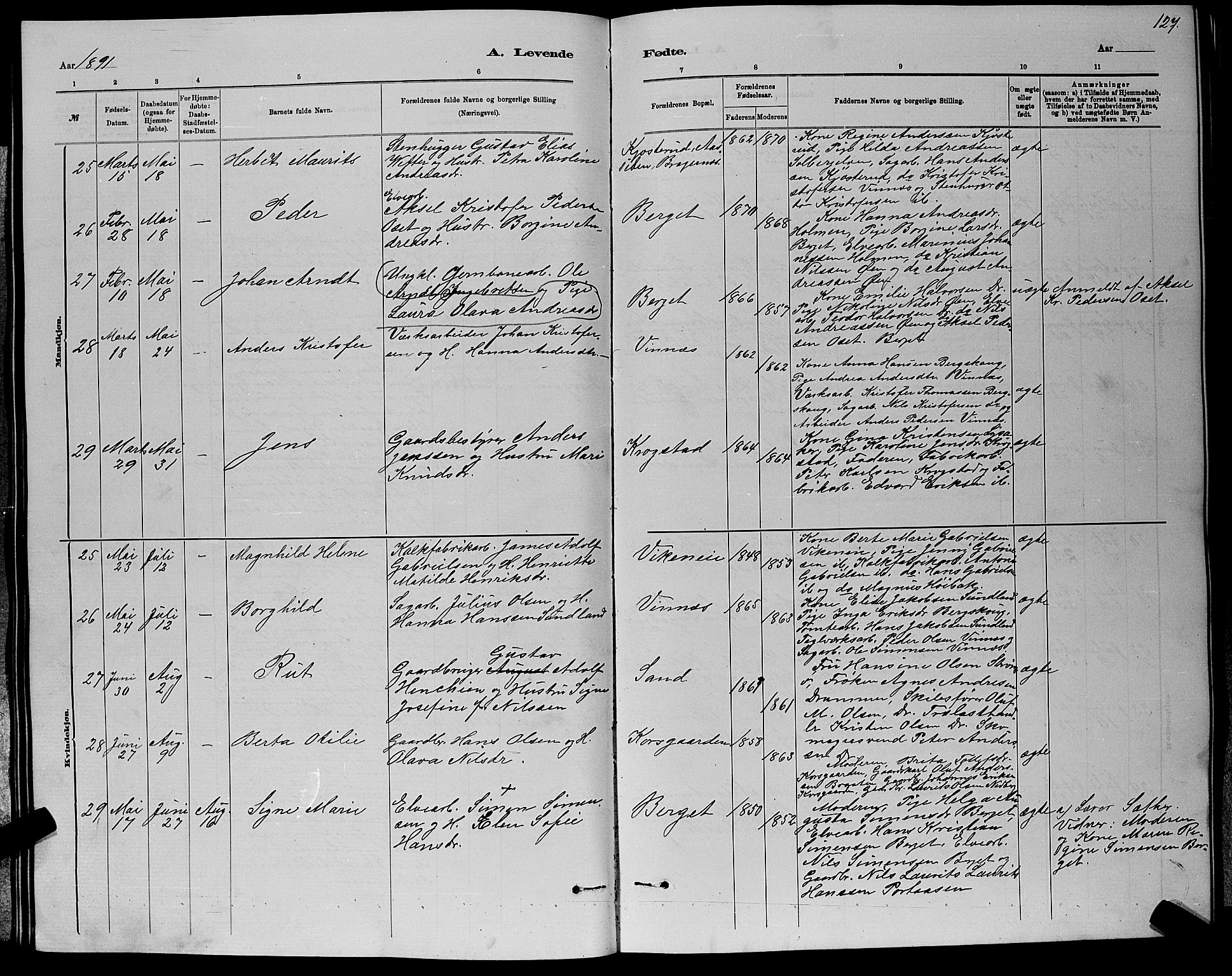 Nedre Eiker kirkebøker, AV/SAKO-A-612/G/Ga/L0002: Parish register (copy) no. 2, 1880-1896, p. 127