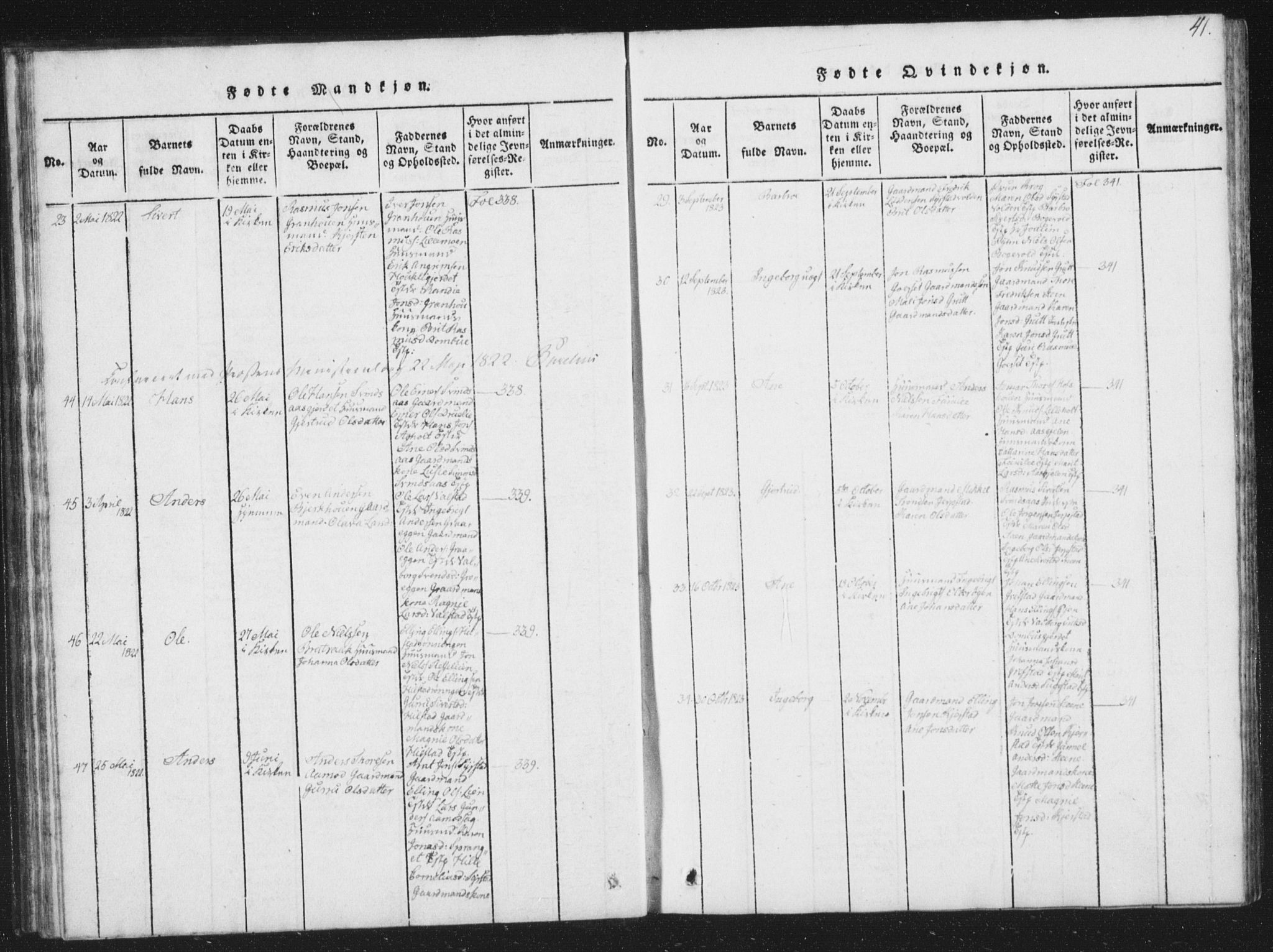 Ministerialprotokoller, klokkerbøker og fødselsregistre - Sør-Trøndelag, SAT/A-1456/672/L0862: Parish register (copy) no. 672C01, 1816-1831, p. 41