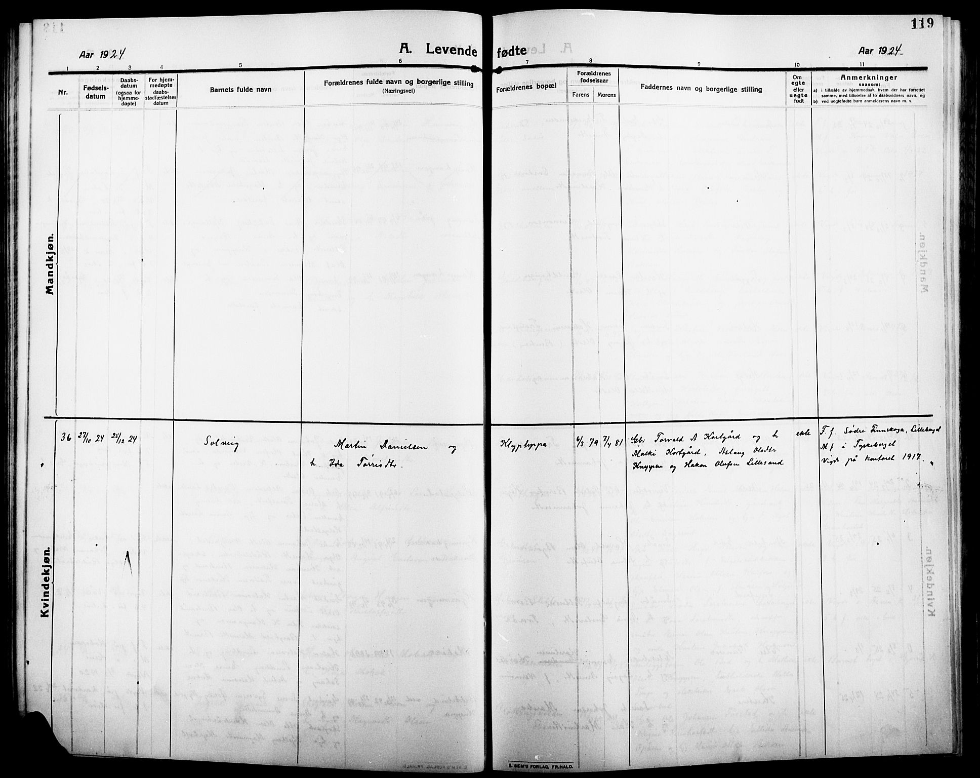 Åsnes prestekontor, SAH/PREST-042/H/Ha/Hab/L0007: Parish register (copy) no. 7, 1909-1926, p. 119