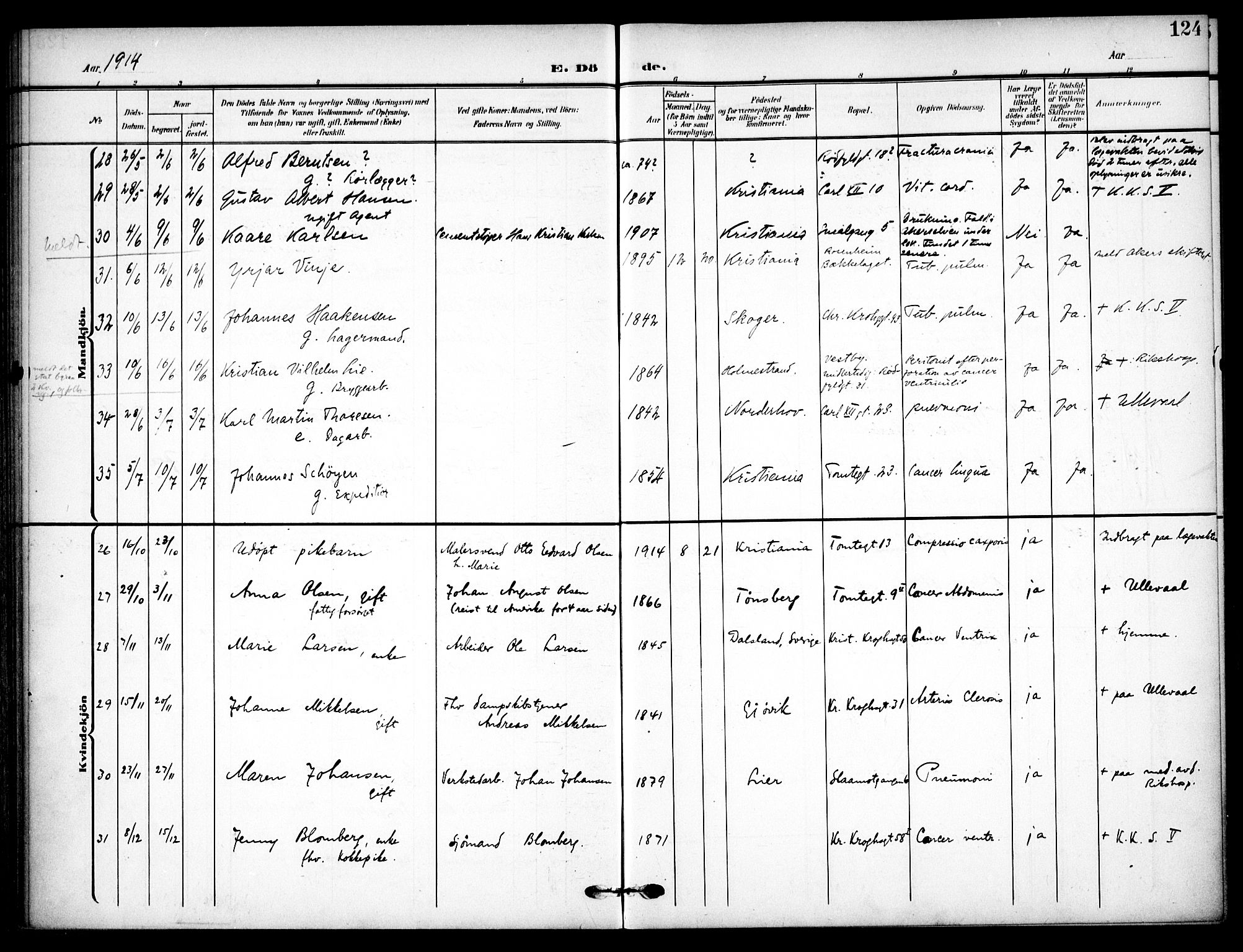 Vaterland prestekontor Kirkebøker, AV/SAO-A-10880/F/Fa/L0002: Parish register (official) no. 2, 1907-1921, p. 124