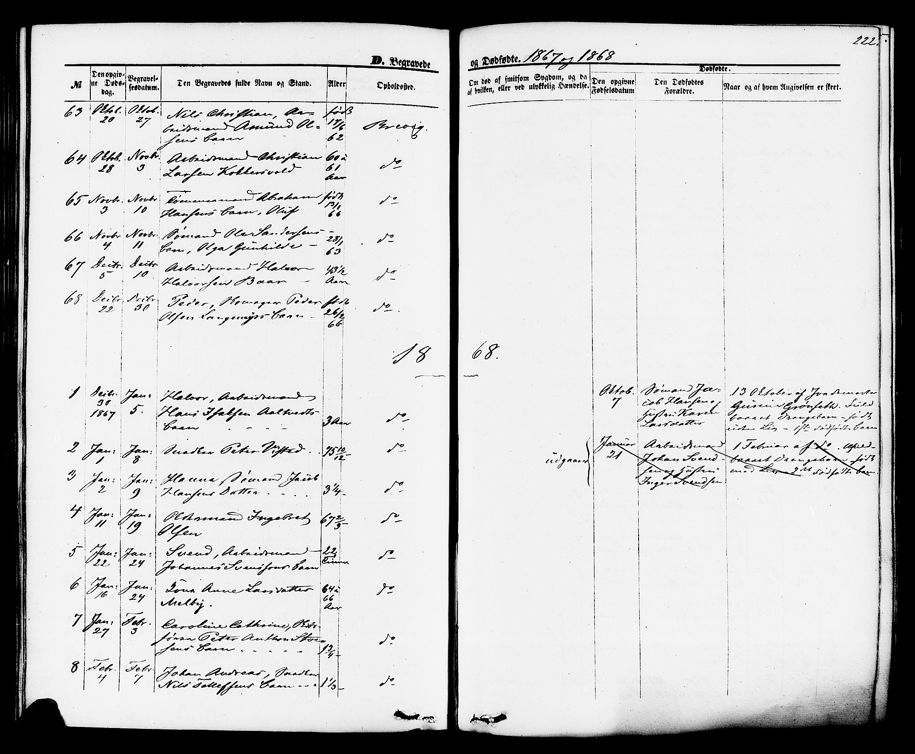 Brevik kirkebøker, SAKO/A-255/F/Fa/L0006: Parish register (official) no. 6, 1866-1881, p. 222