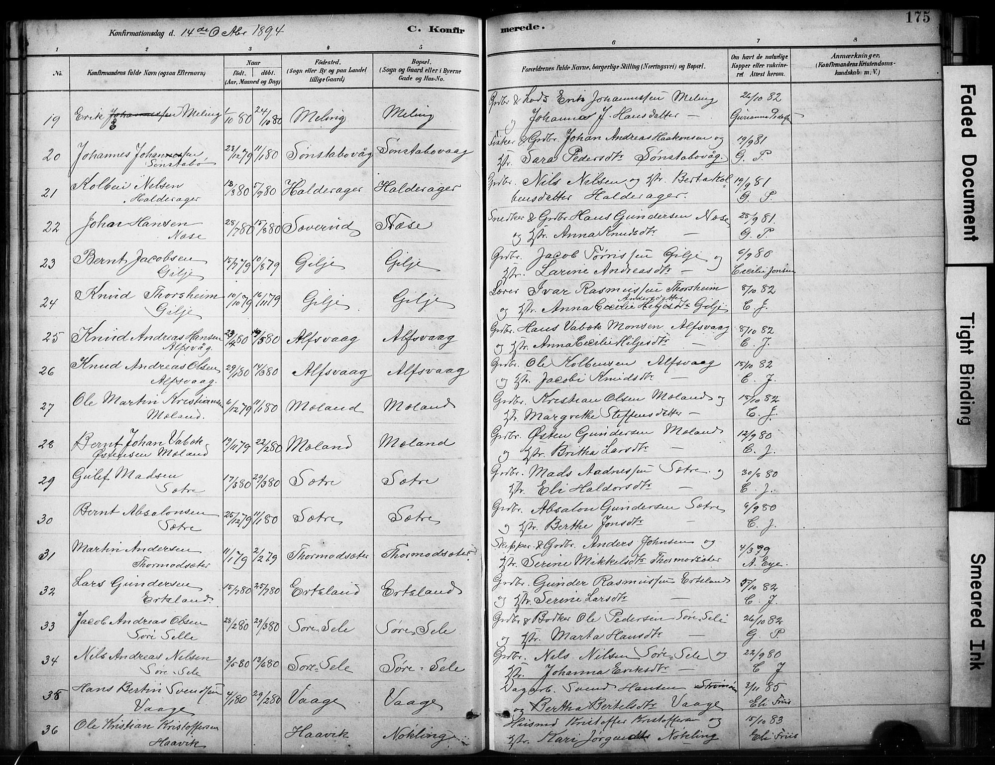 Finnås sokneprestembete, AV/SAB-A-99925/H/Ha/Hab/Habb/L0003: Parish register (copy) no. B 3, 1882-1897, p. 175