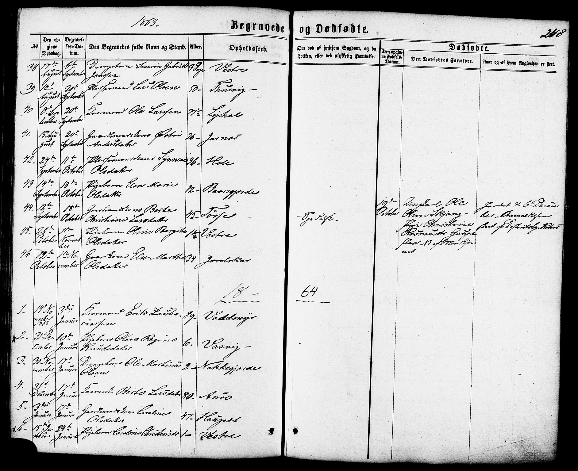 Ministerialprotokoller, klokkerbøker og fødselsregistre - Møre og Romsdal, SAT/A-1454/522/L0314: Parish register (official) no. 522A09, 1863-1877, p. 248