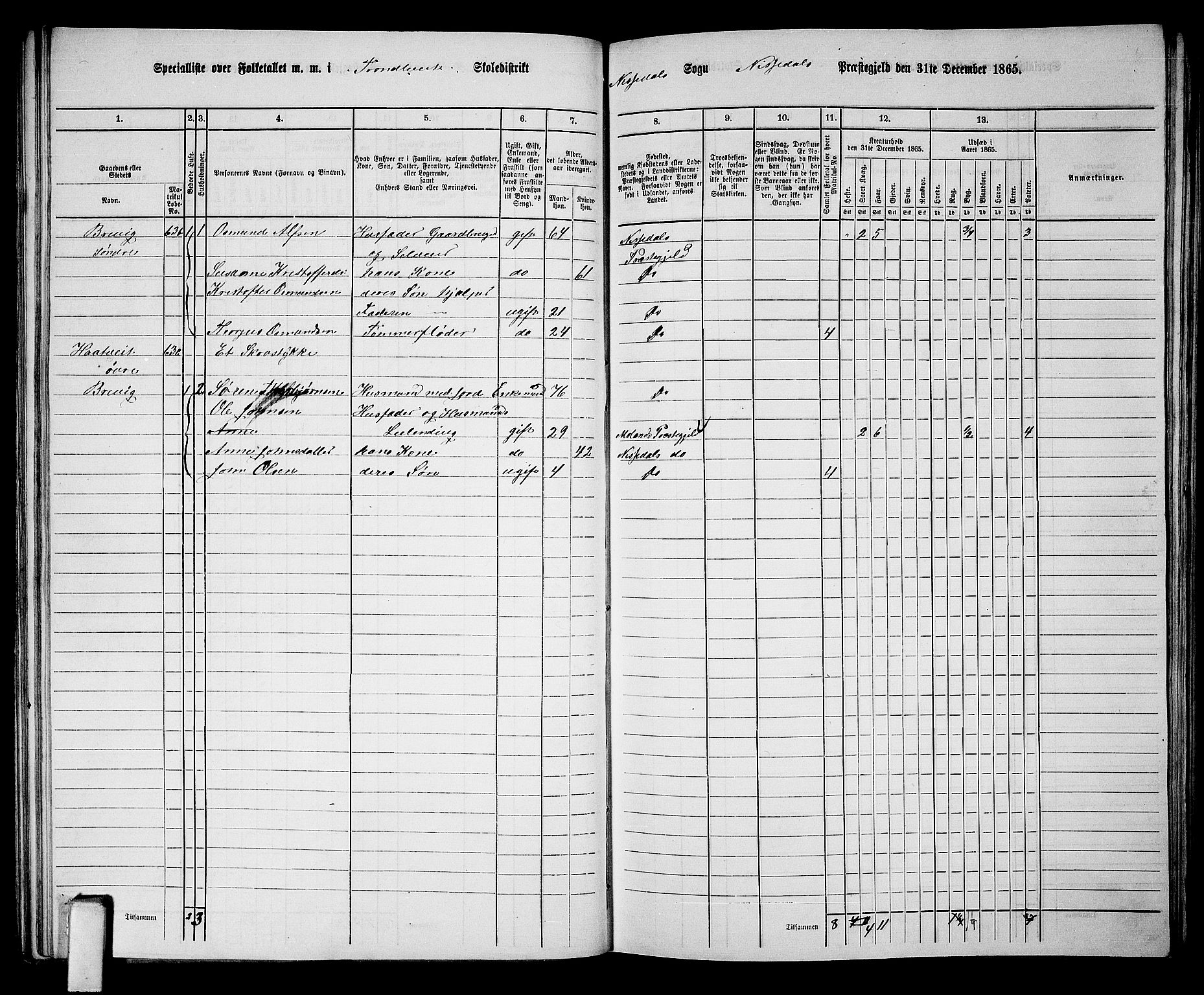 RA, 1865 census for Nissedal, 1865, p. 57