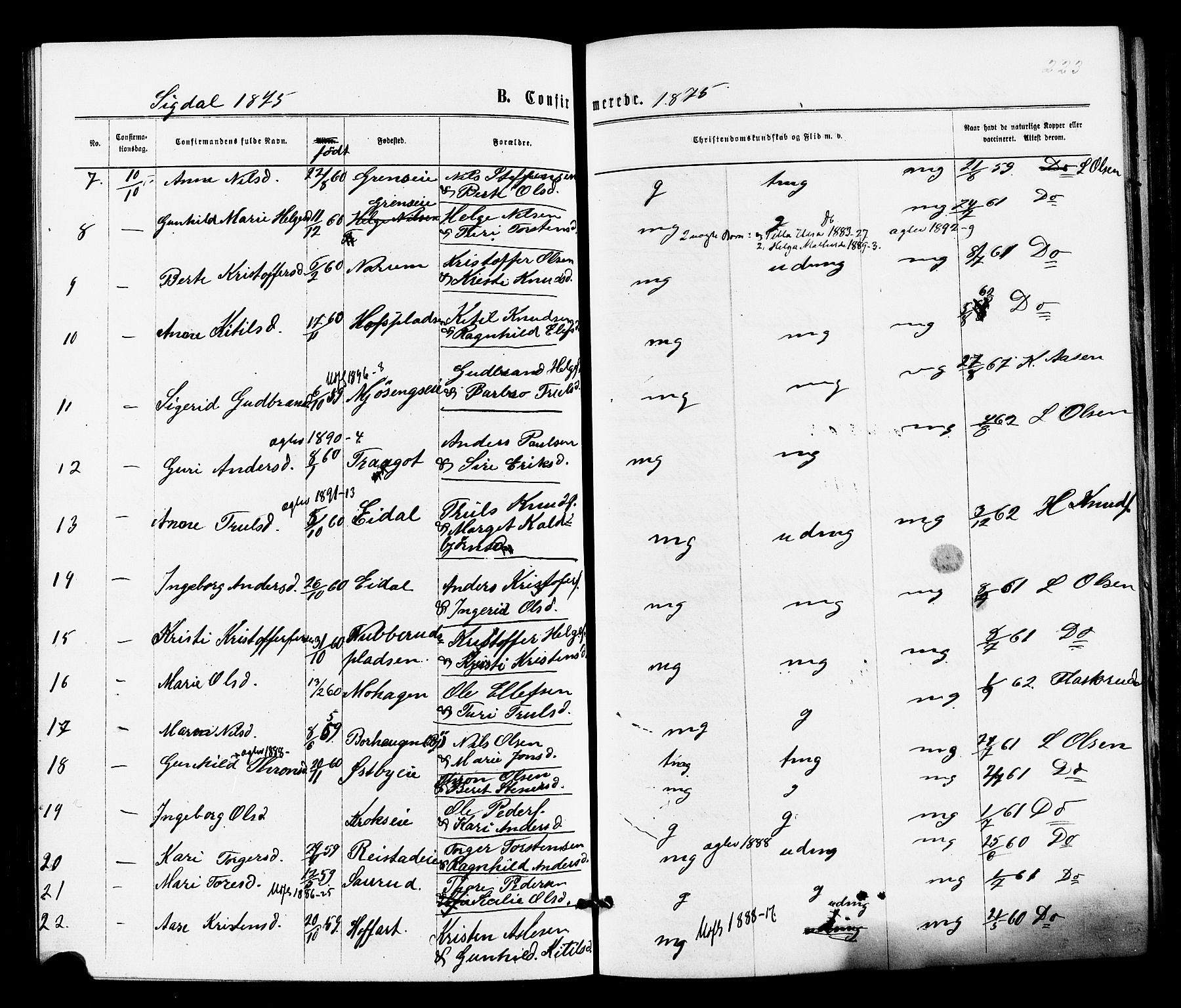 Sigdal kirkebøker, AV/SAKO-A-245/F/Fa/L0010: Parish register (official) no. I 10 /1, 1872-1878, p. 223