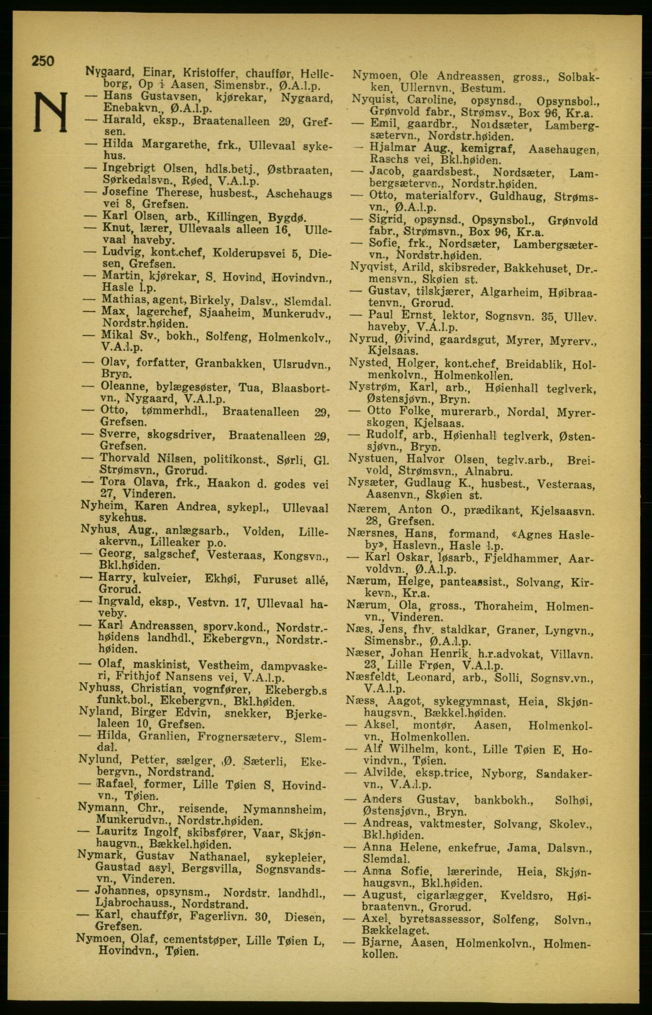 Aker adressebok/adressekalender, PUBL/001/A/003: Akers adressekalender, 1924-1925, p. 250
