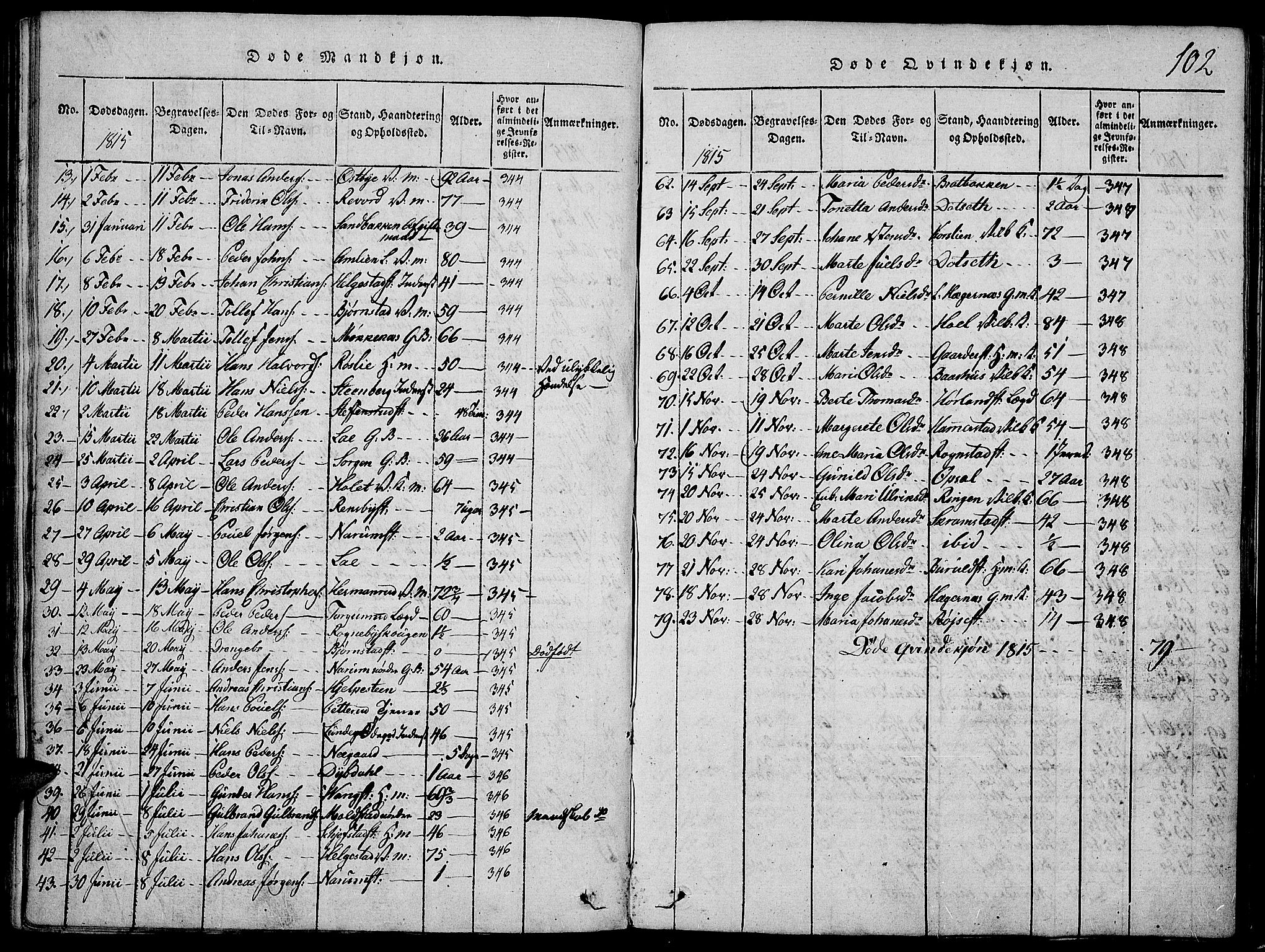 Toten prestekontor, SAH/PREST-102/H/Ha/Haa/L0009: Parish register (official) no. 9, 1814-1820, p. 102