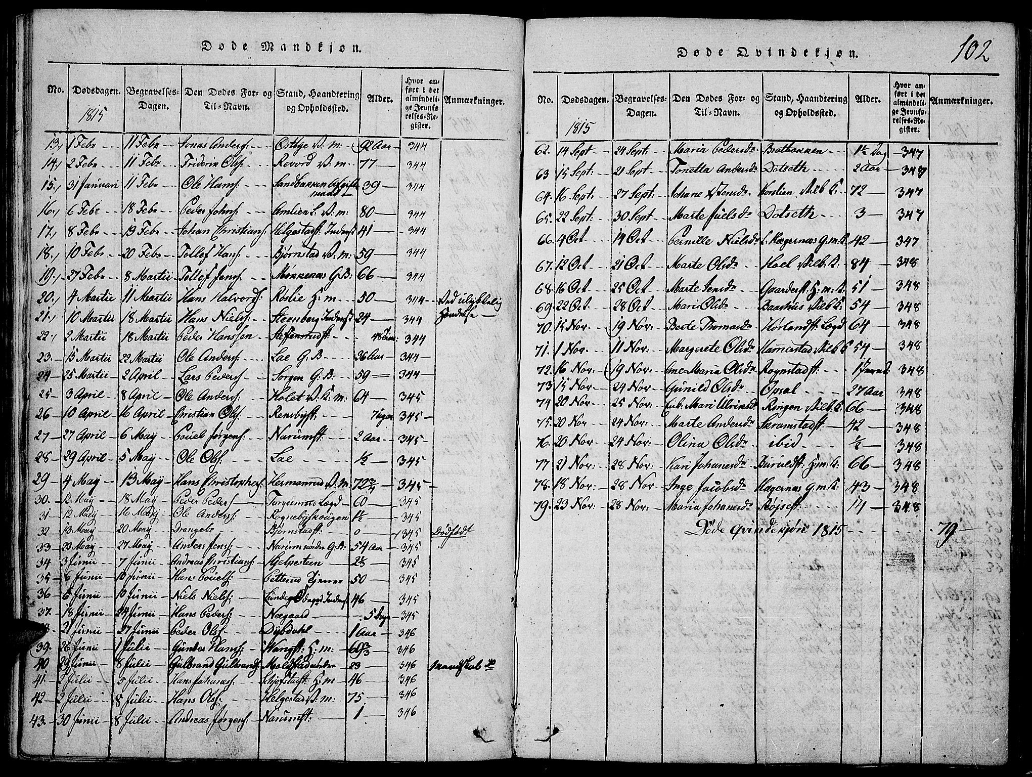 Toten prestekontor, AV/SAH-PREST-102/H/Ha/Haa/L0009: Parish register (official) no. 9, 1814-1820, p. 102