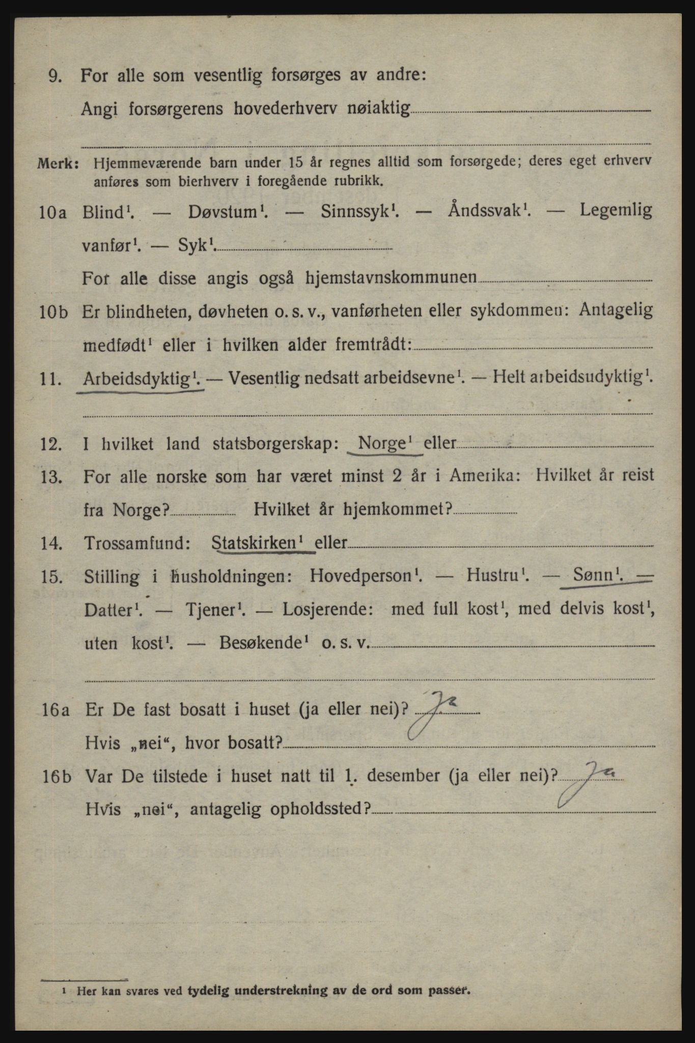 SAO, 1920 census for Skjeberg, 1920, p. 6596