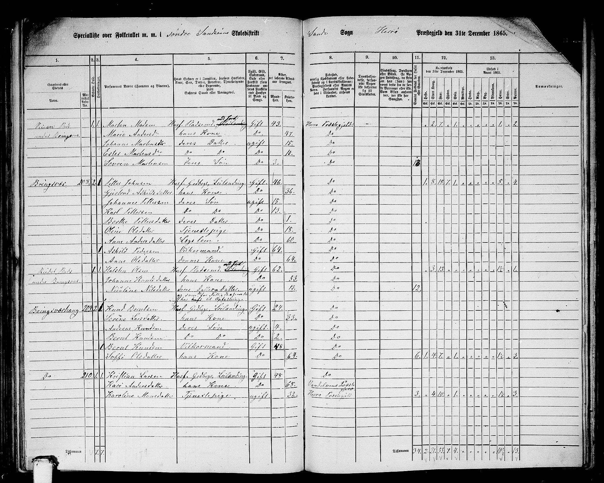 RA, 1865 census for Herøy, 1865, p. 160