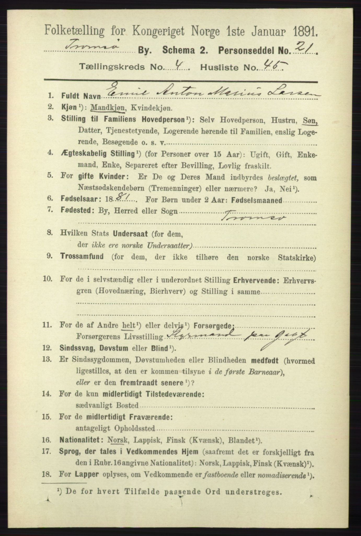 RA, 1891 census for 1902 Tromsø, 1891, p. 4717