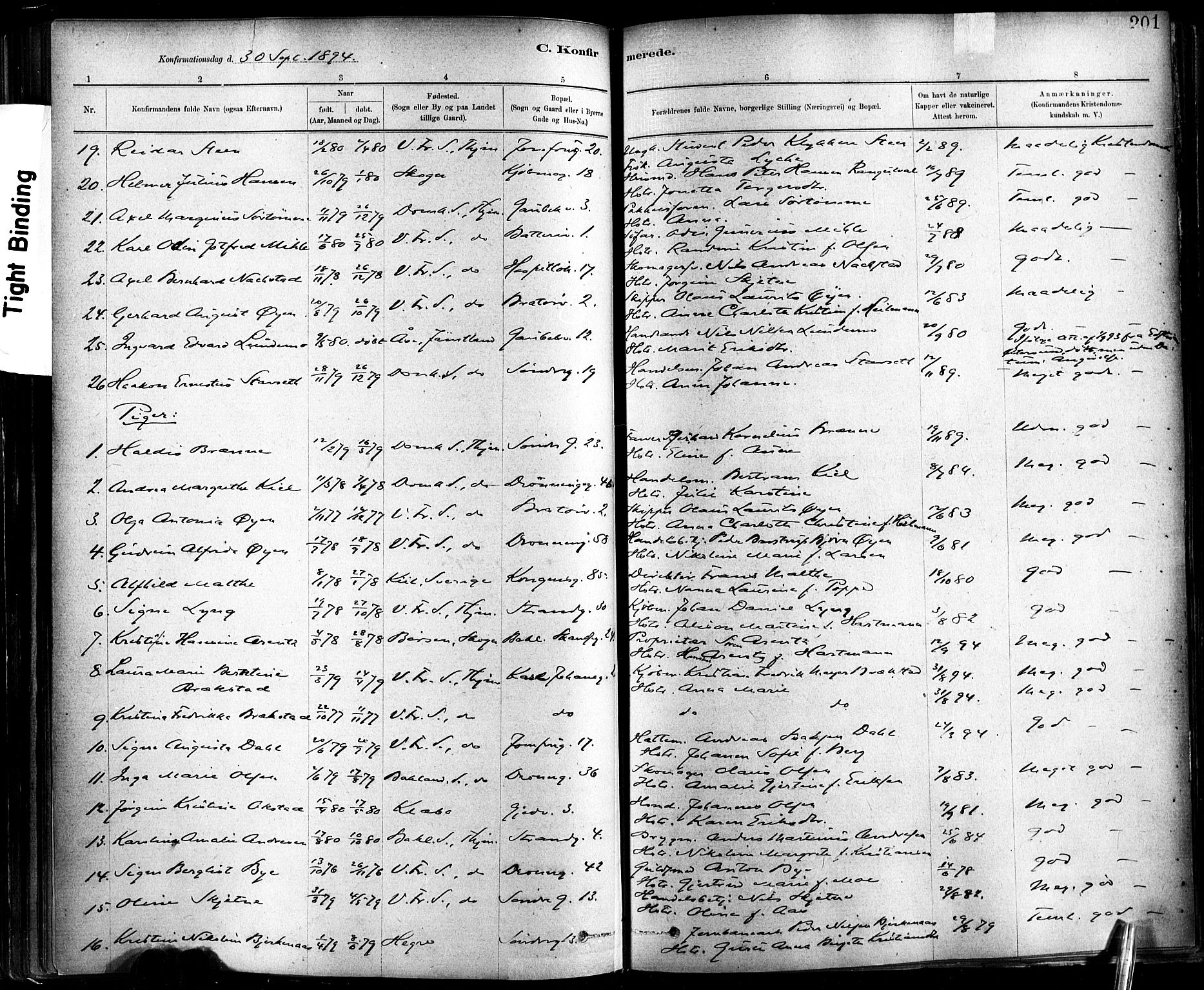 Ministerialprotokoller, klokkerbøker og fødselsregistre - Sør-Trøndelag, AV/SAT-A-1456/602/L0119: Parish register (official) no. 602A17, 1880-1901, p. 201