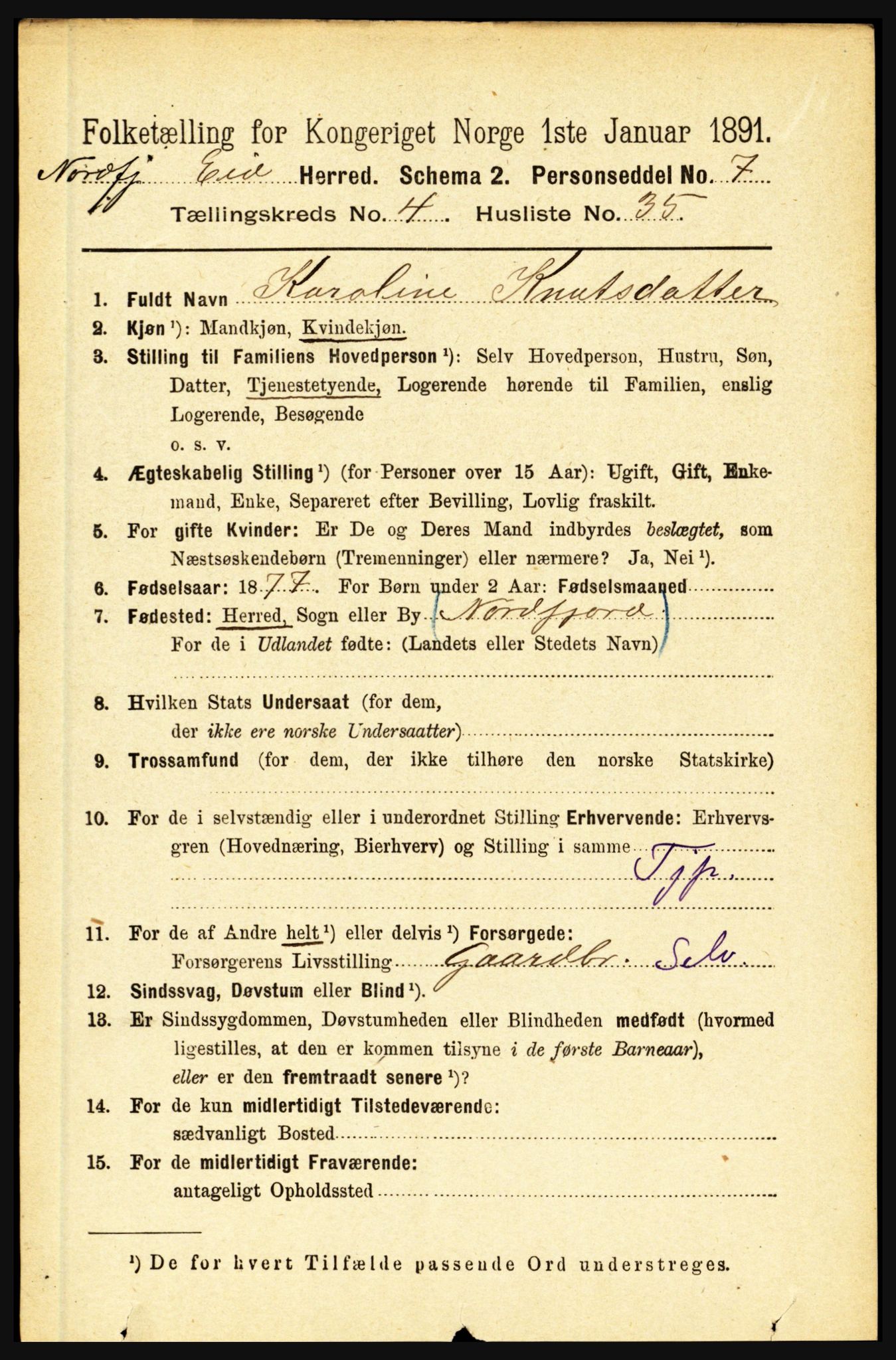 RA, 1891 census for 1443 Eid, 1891, p. 1095