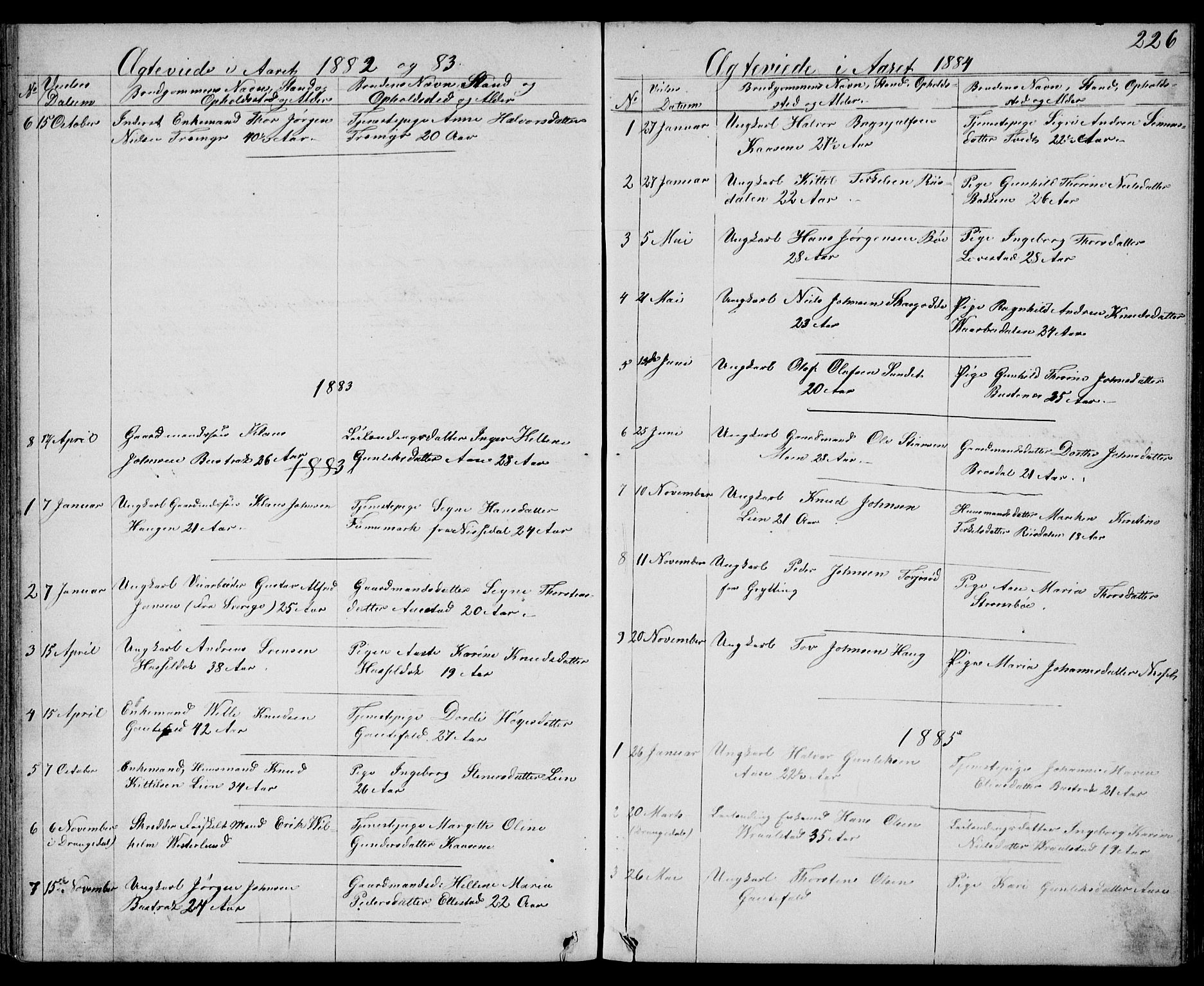 Drangedal kirkebøker, SAKO/A-258/G/Gb/L0001: Parish register (copy) no. II 1, 1856-1894, p. 226