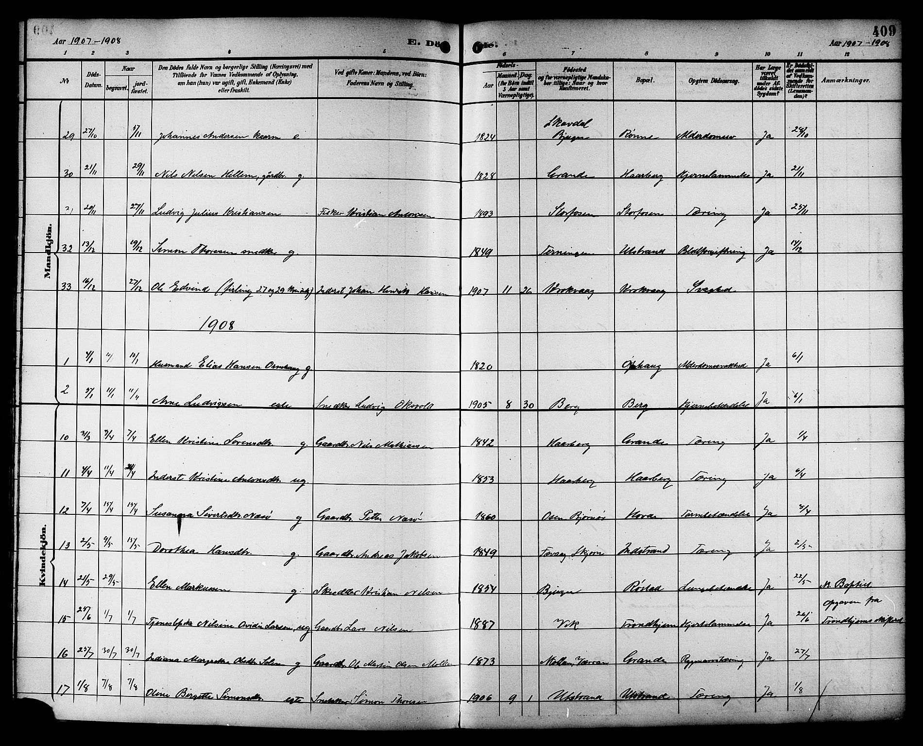 Ministerialprotokoller, klokkerbøker og fødselsregistre - Sør-Trøndelag, SAT/A-1456/659/L0746: Parish register (copy) no. 659C03, 1893-1912, p. 409