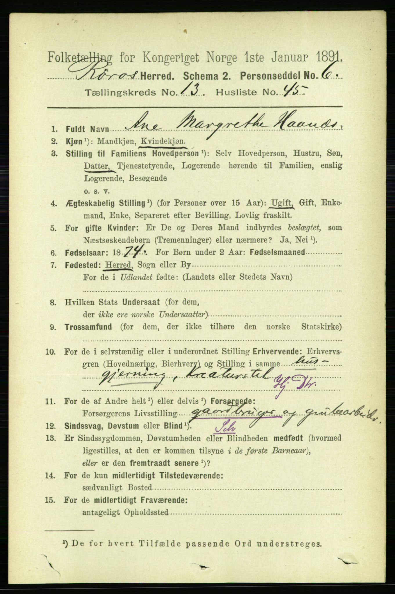 RA, 1891 census for 1640 Røros, 1891, p. 2795