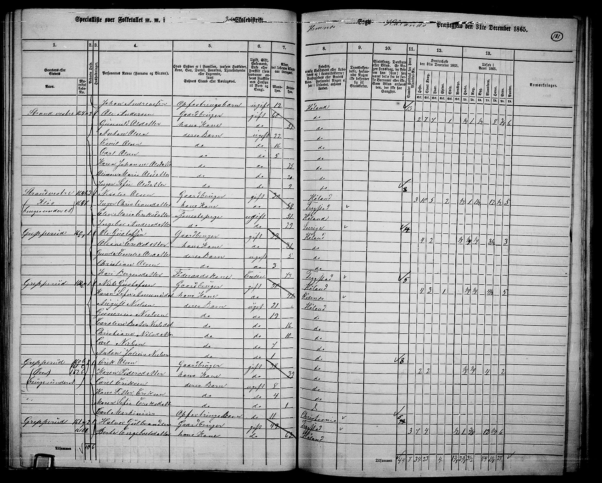 RA, 1865 census for Høland, 1865, p. 166