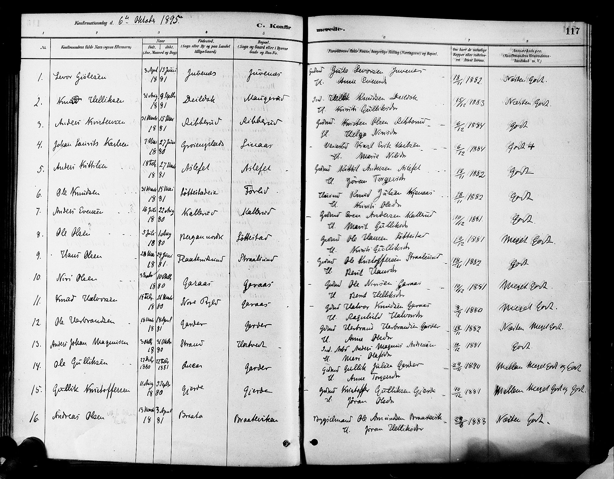 Flesberg kirkebøker, SAKO/A-18/F/Fa/L0008: Parish register (official) no. I 8, 1879-1899, p. 117