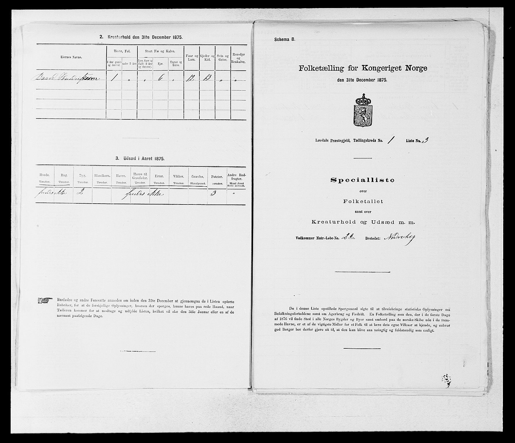 SAB, 1875 census for 1422P Lærdal, 1875, p. 893