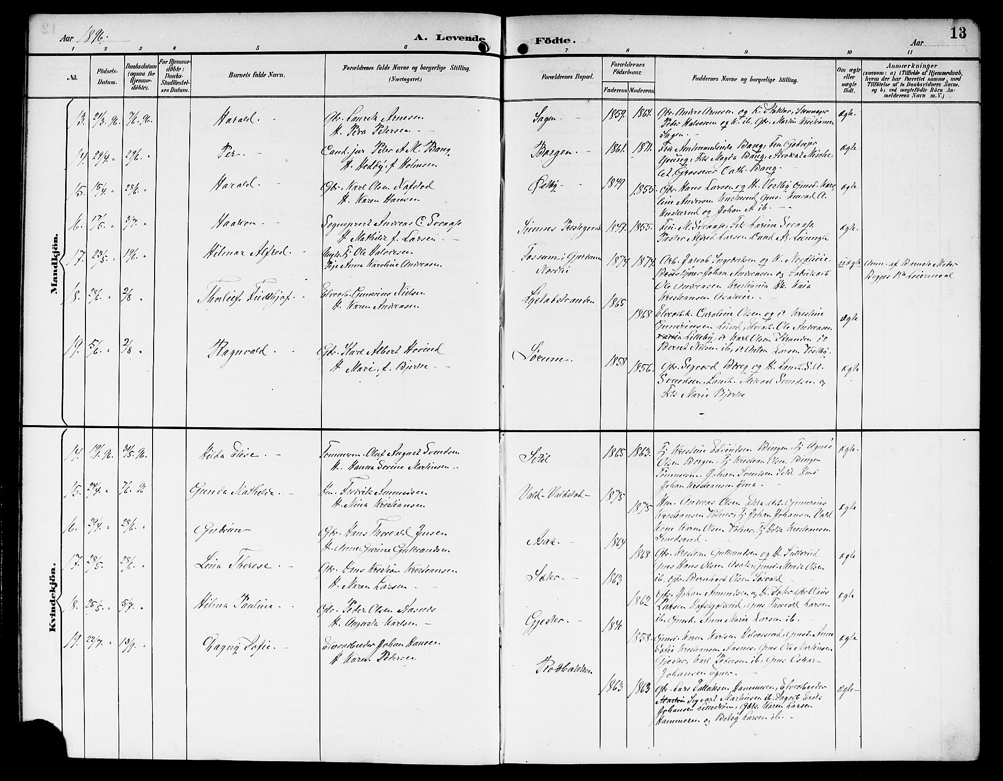 Sørum prestekontor Kirkebøker, AV/SAO-A-10303/G/Ga/L0006: Parish register (copy) no. I 6, 1894-1906, p. 13