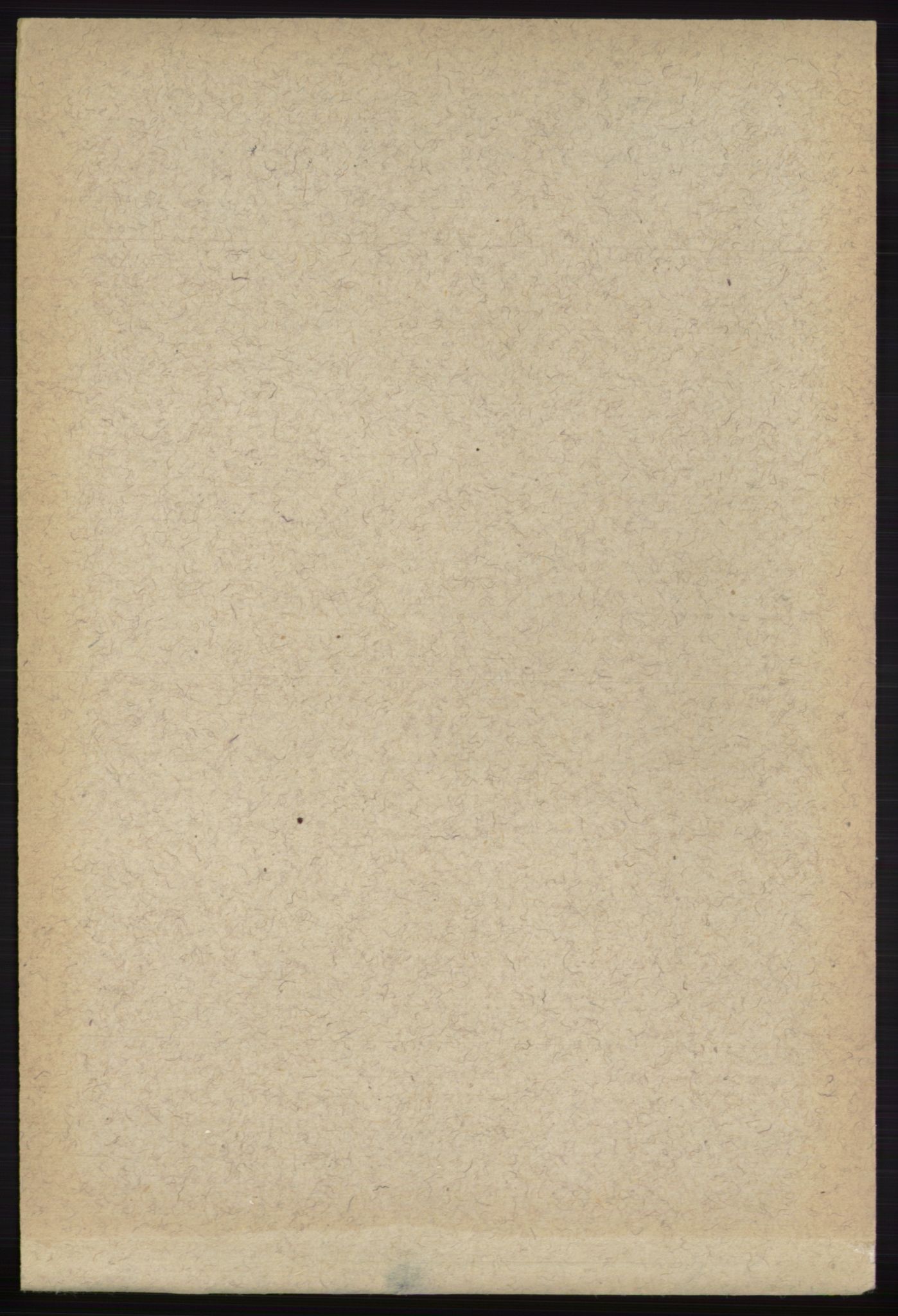 RA, 1891 census for 0712 Skoger, 1891, p. 4624