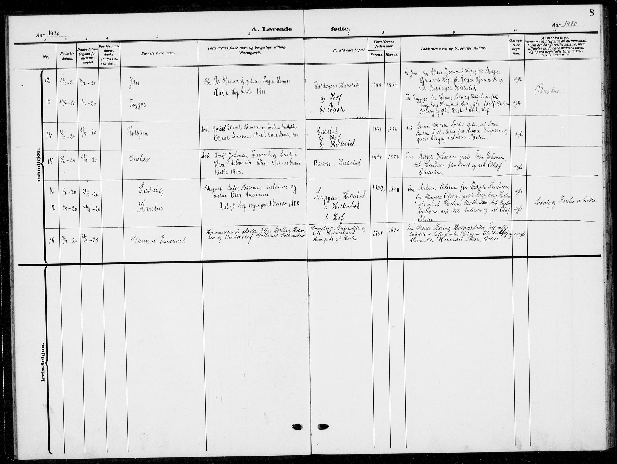 Botne kirkebøker, AV/SAKO-A-340/G/Gb/L0005: Parish register (copy) no. II 5, 1918-1936, p. 8