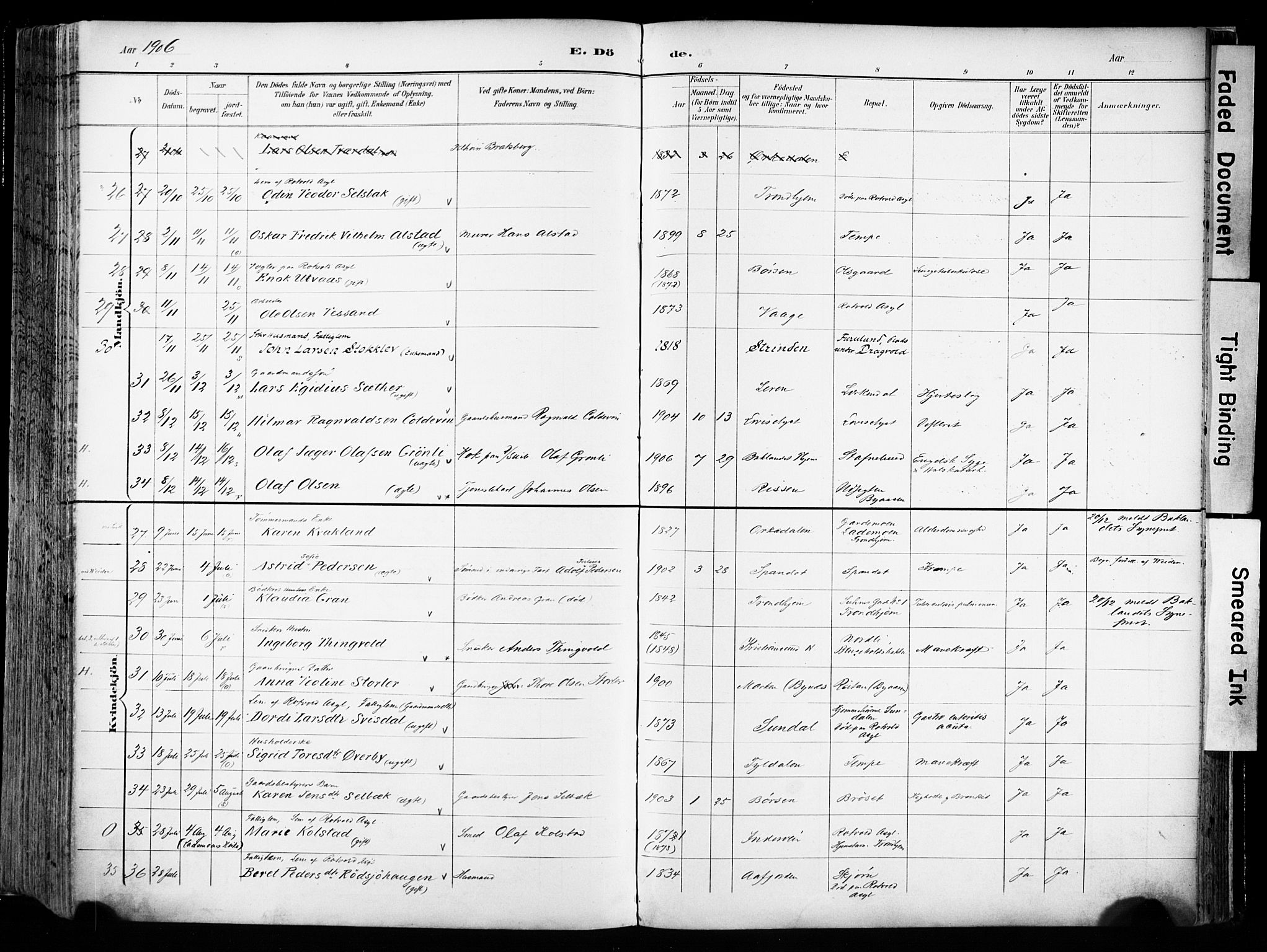 Ministerialprotokoller, klokkerbøker og fødselsregistre - Sør-Trøndelag, AV/SAT-A-1456/606/L0301: Parish register (official) no. 606A16, 1894-1907