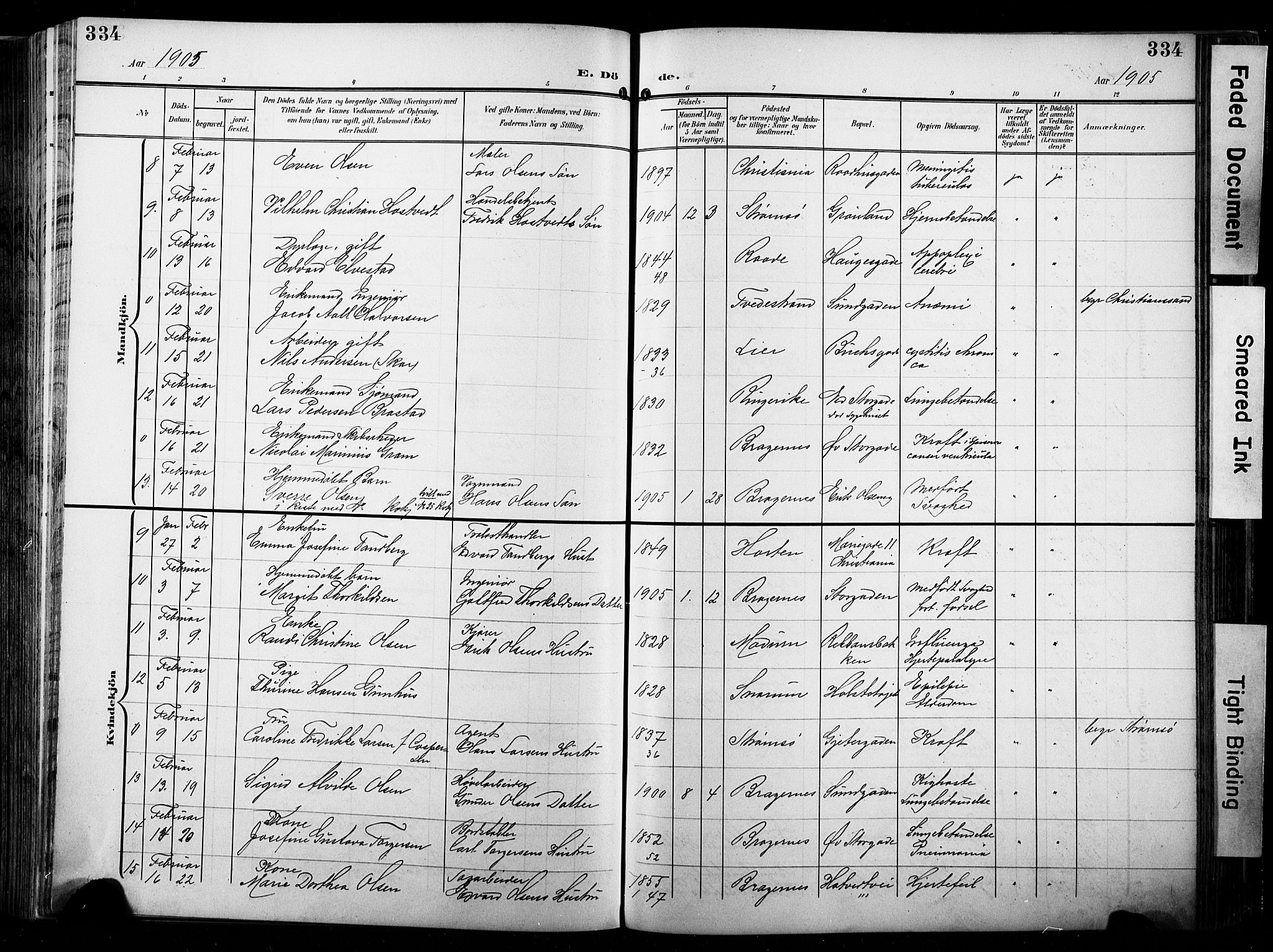 Bragernes kirkebøker, AV/SAKO-A-6/F/Fb/L0009: Parish register (official) no. II 9, 1902-1911, p. 334