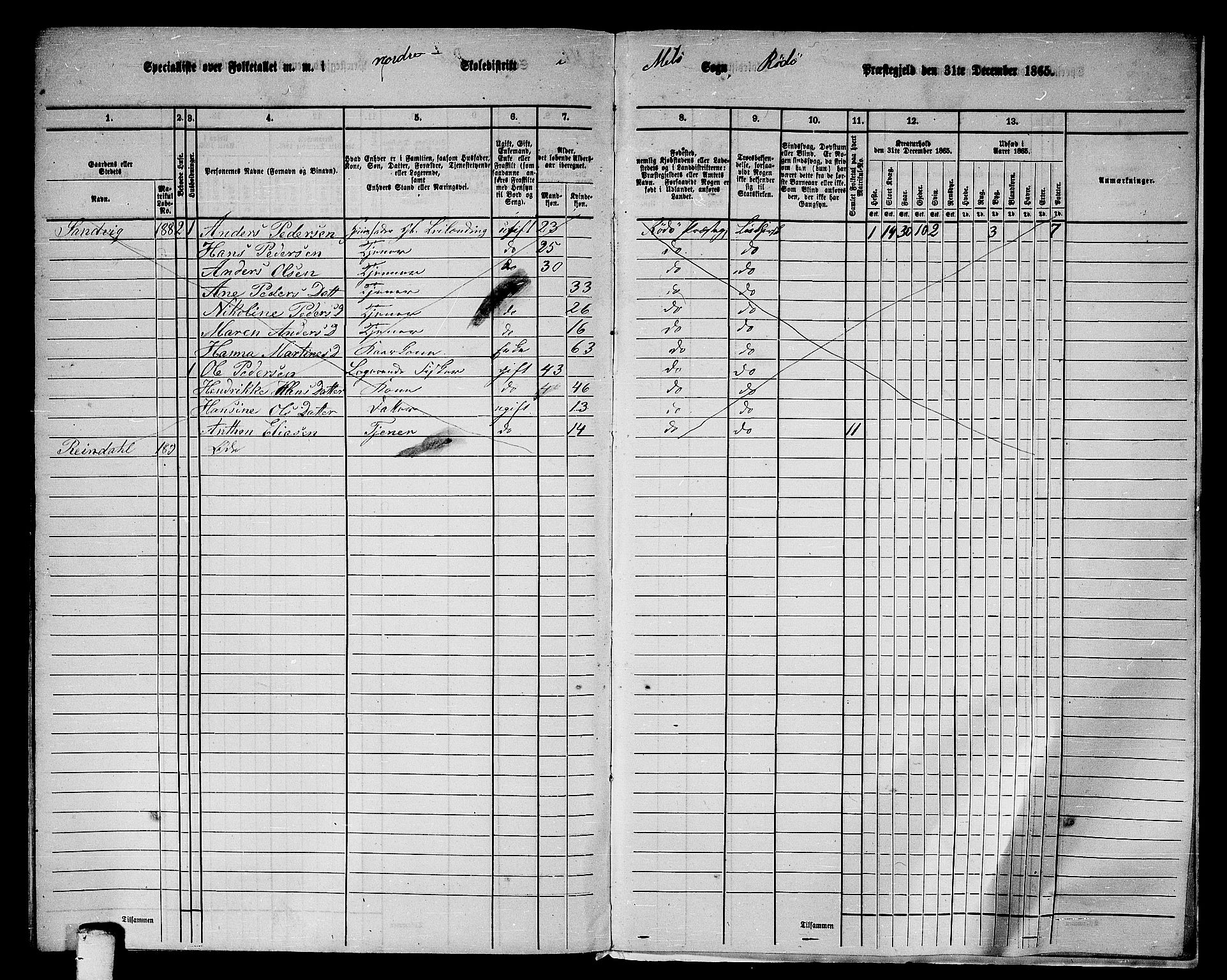 RA, 1865 census for Rødøy, 1865, p. 162