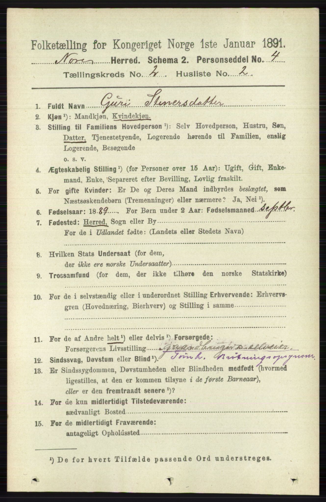 RA, 1891 census for 0633 Nore, 1891, p. 260