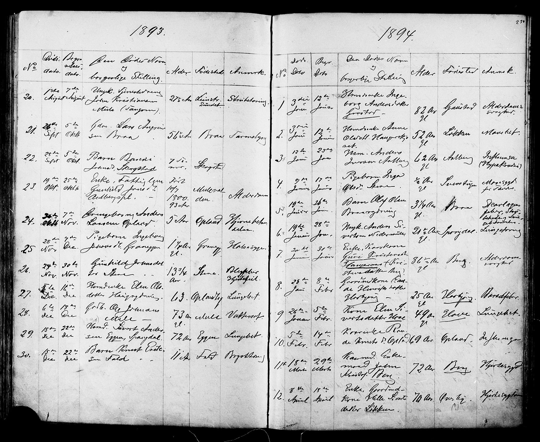 Ministerialprotokoller, klokkerbøker og fødselsregistre - Sør-Trøndelag, SAT/A-1456/612/L0387: Parish register (copy) no. 612C03, 1874-1908, p. 234