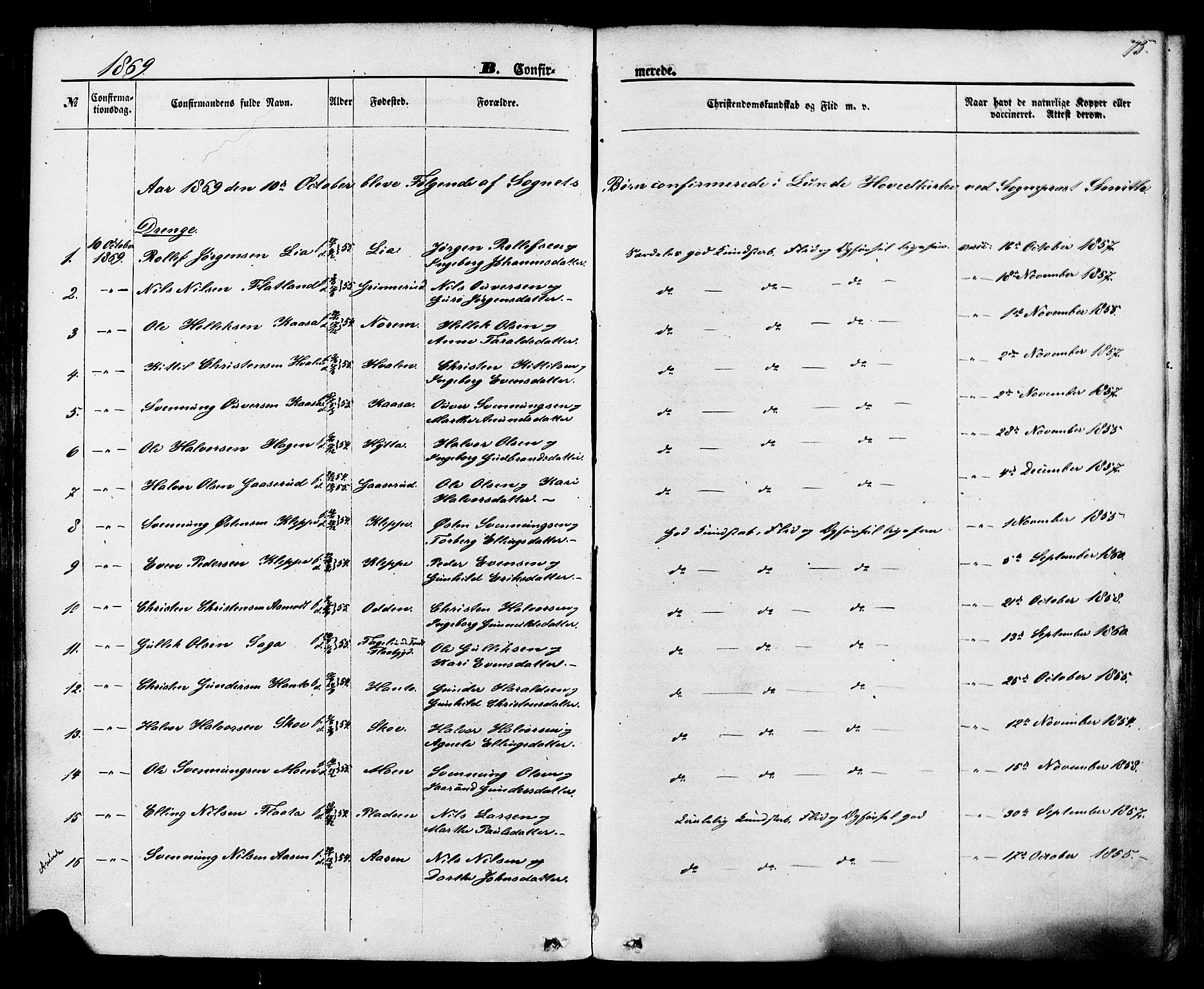 Lunde kirkebøker, SAKO/A-282/F/Fa/L0001: Parish register (official) no. I 1, 1866-1883, p. 75
