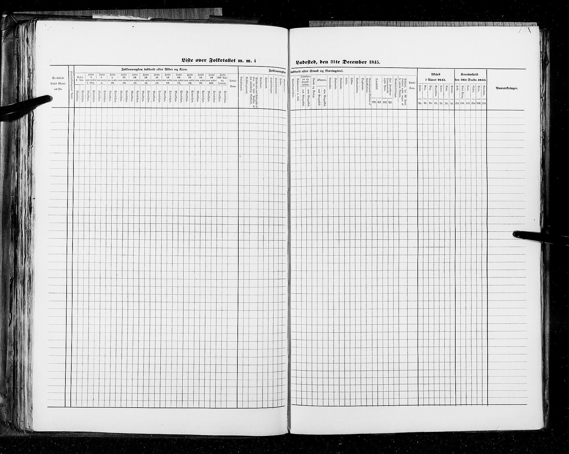 RA, Census 1845, vol. 11: Cities, 1845, p. 110