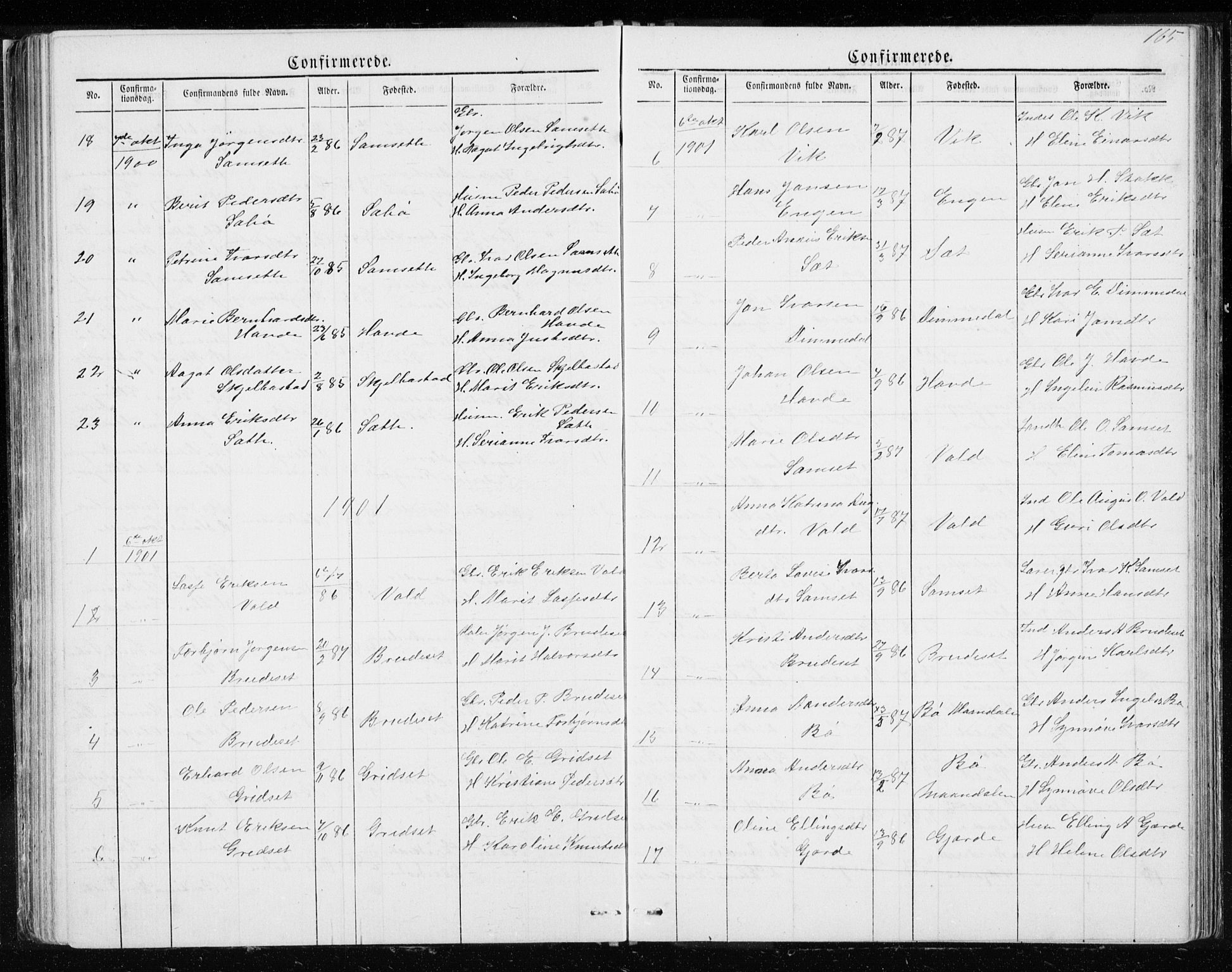 Ministerialprotokoller, klokkerbøker og fødselsregistre - Møre og Romsdal, SAT/A-1454/543/L0564: Parish register (copy) no. 543C02, 1867-1915, p. 165
