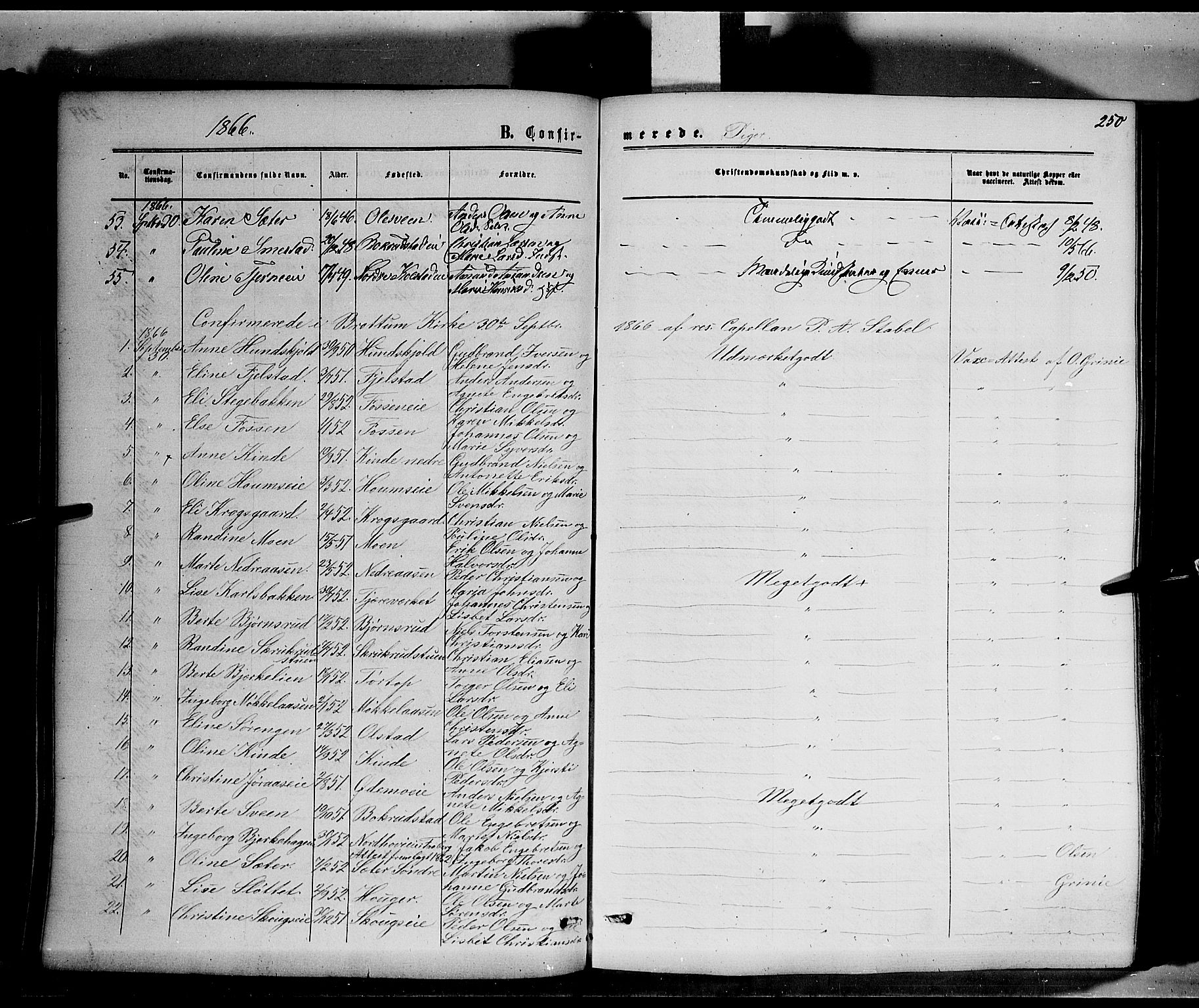 Ringsaker prestekontor, AV/SAH-PREST-014/K/Ka/L0010: Parish register (official) no. 10, 1861-1869, p. 250