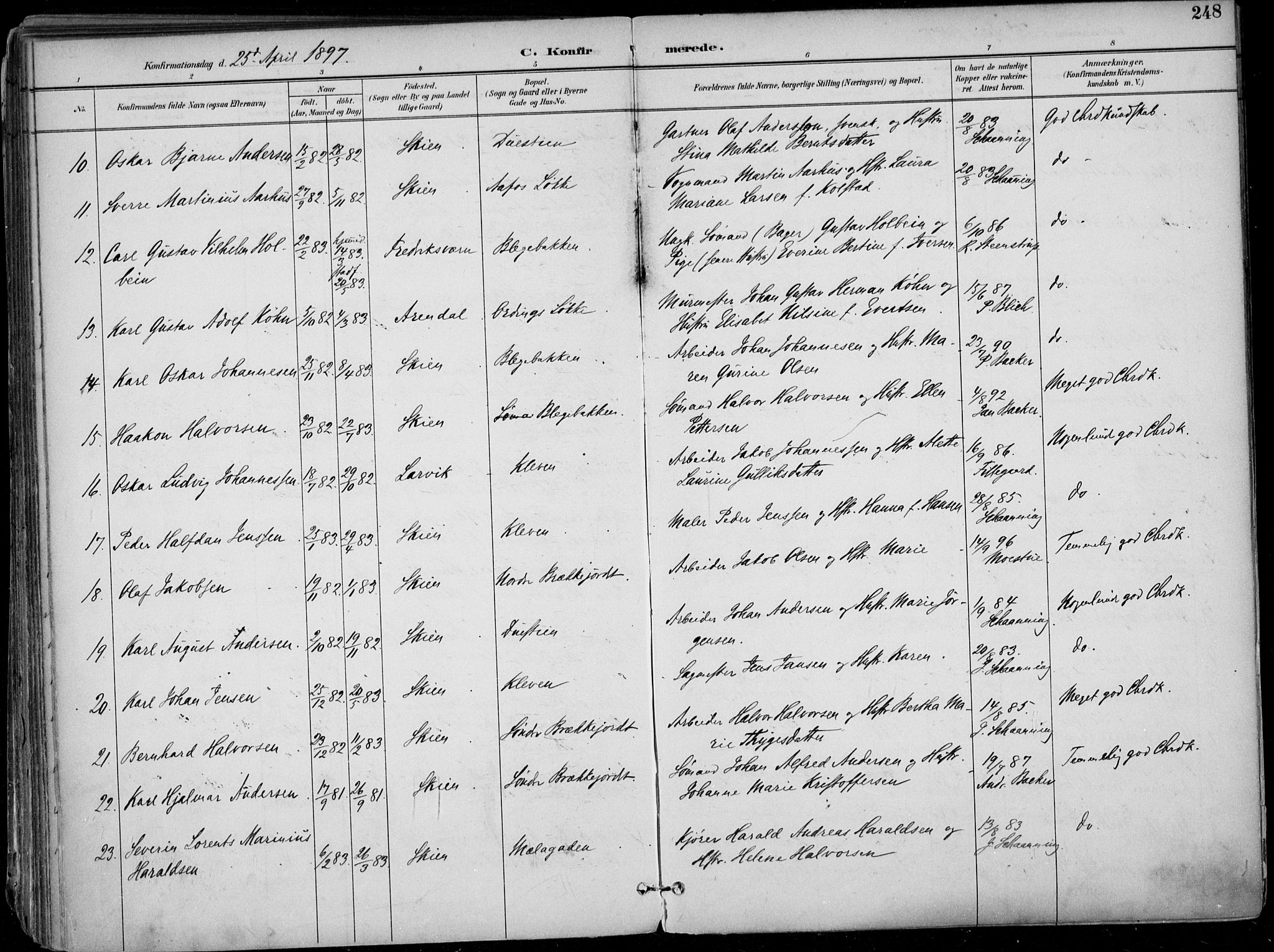 Skien kirkebøker, AV/SAKO-A-302/F/Fa/L0010: Parish register (official) no. 10, 1891-1899, p. 248