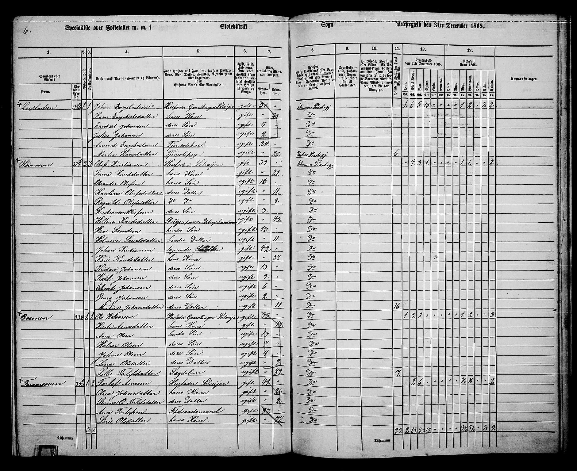 RA, 1865 census for Elverum, 1865, p. 241