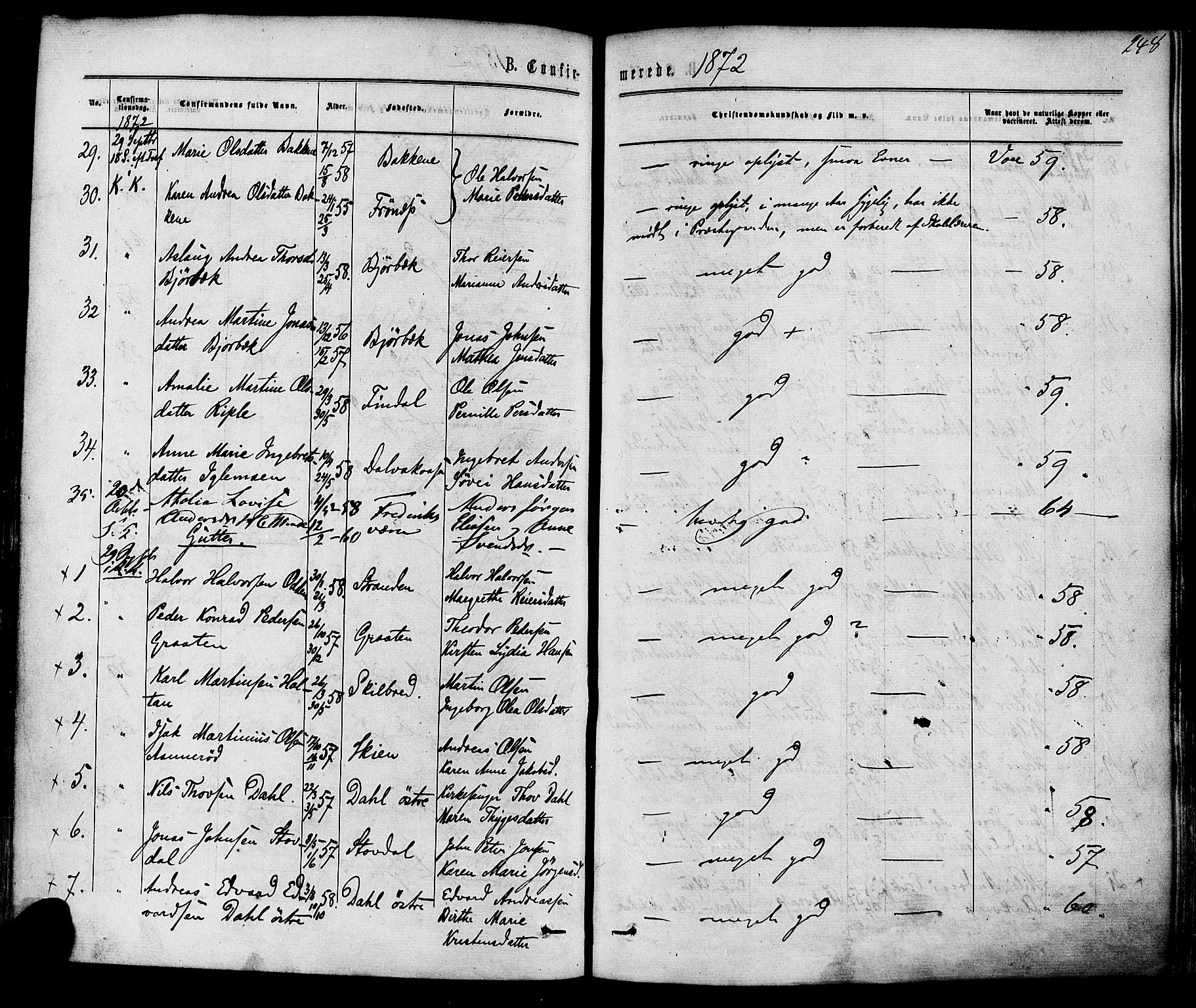 Solum kirkebøker, AV/SAKO-A-306/F/Fa/L0008: Parish register (official) no. I 8, 1865-1876, p. 248