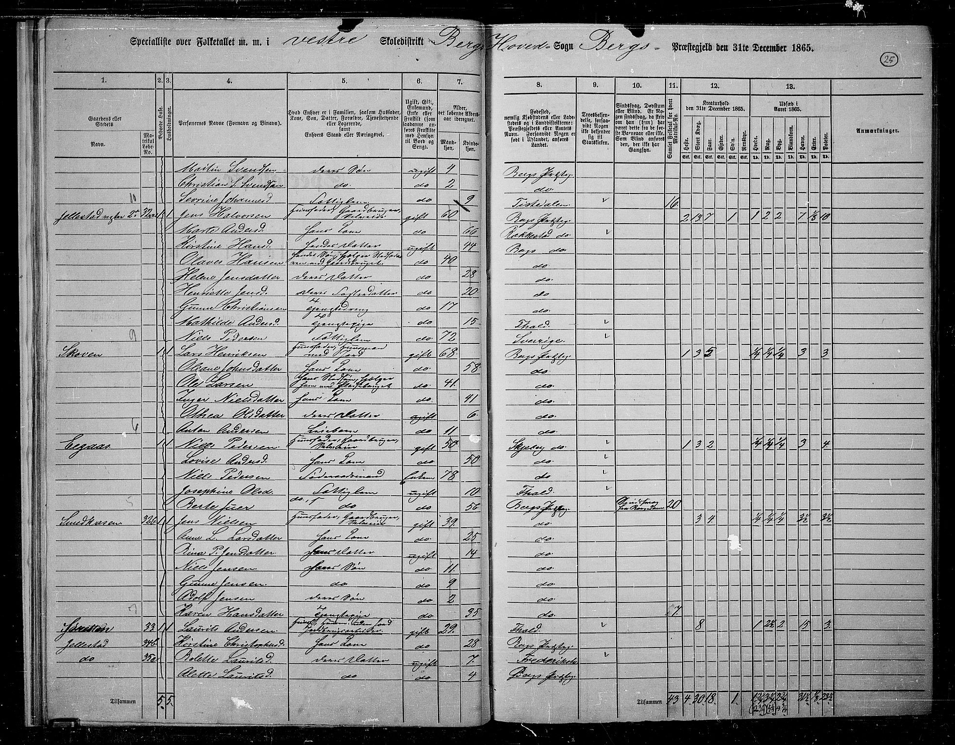 RA, 1865 census for Berg, 1865, p. 25
