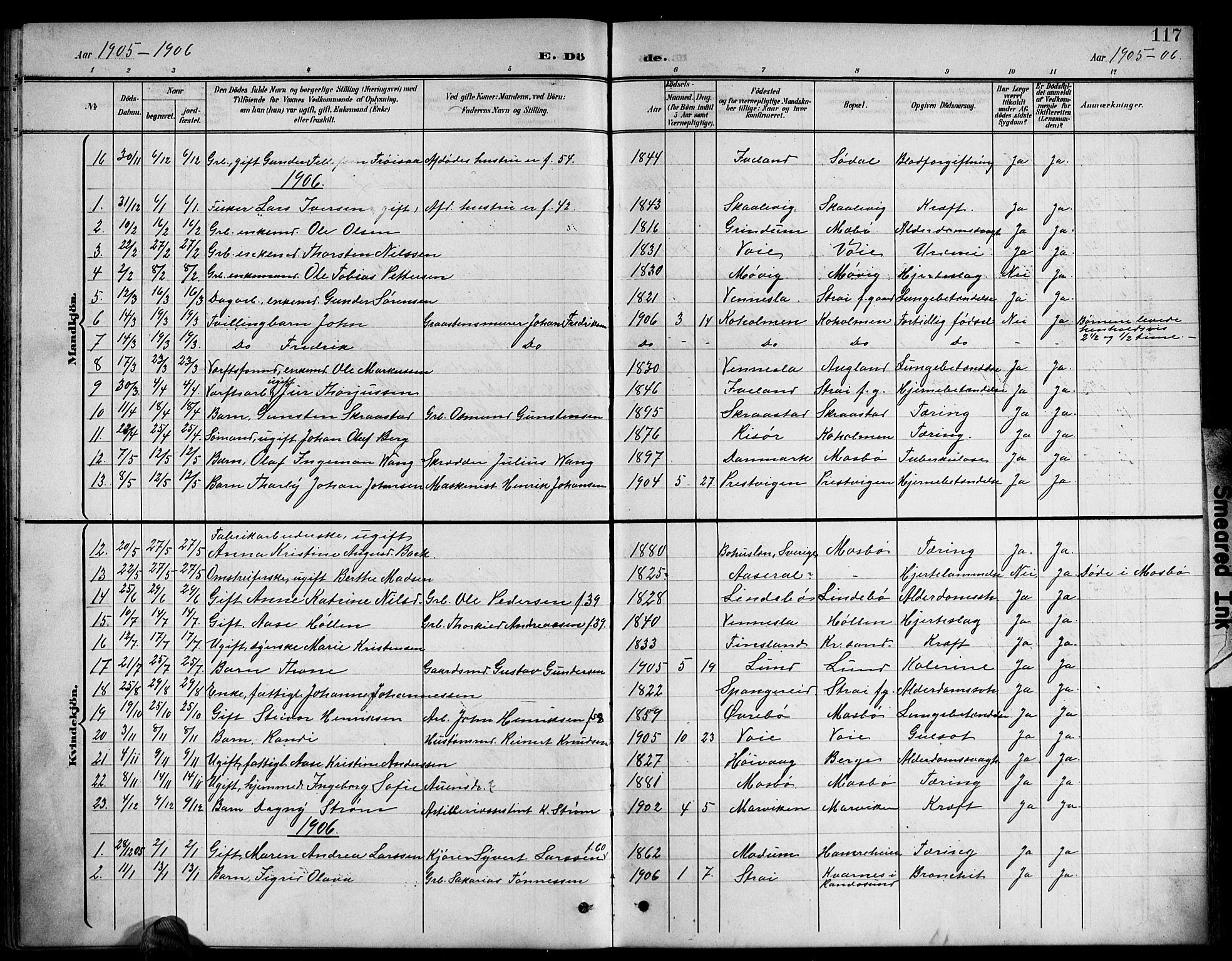 Oddernes sokneprestkontor, AV/SAK-1111-0033/F/Fb/Fba/L0009: Parish register (copy) no. B 9, 1899-1923, p. 117