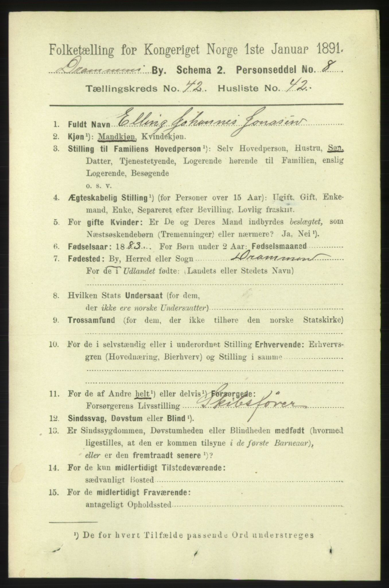 RA, 1891 census for 0602 Drammen, 1891, p. 25029