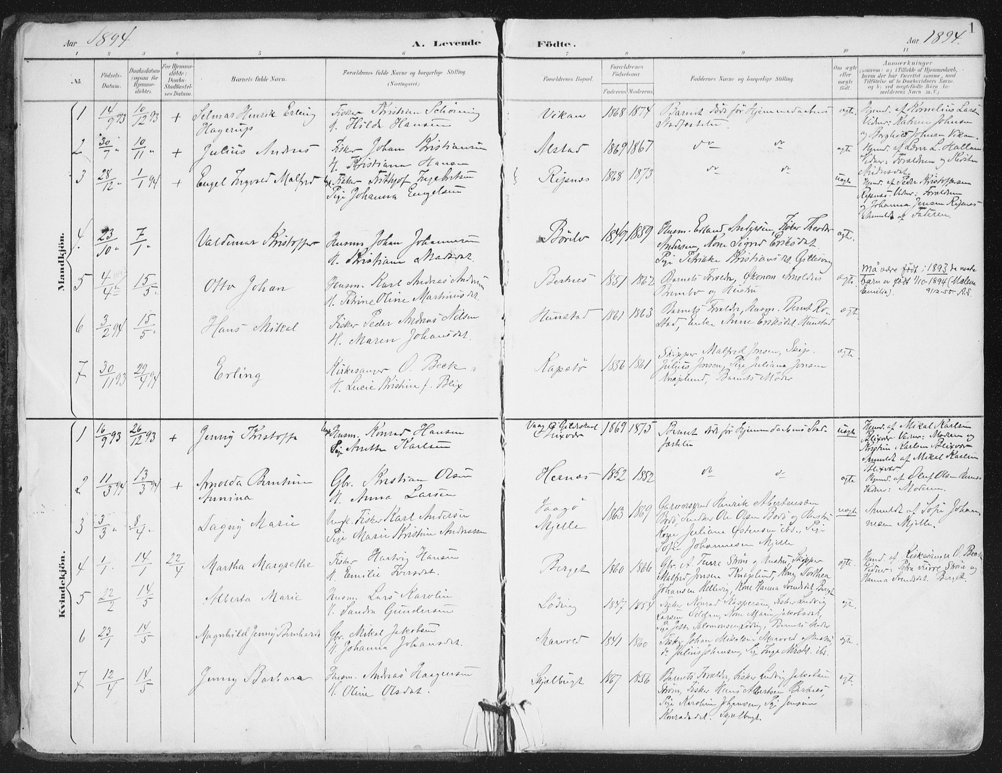 Ministerialprotokoller, klokkerbøker og fødselsregistre - Nordland, SAT/A-1459/802/L0055: Parish register (official) no. 802A02, 1894-1915, p. 1
