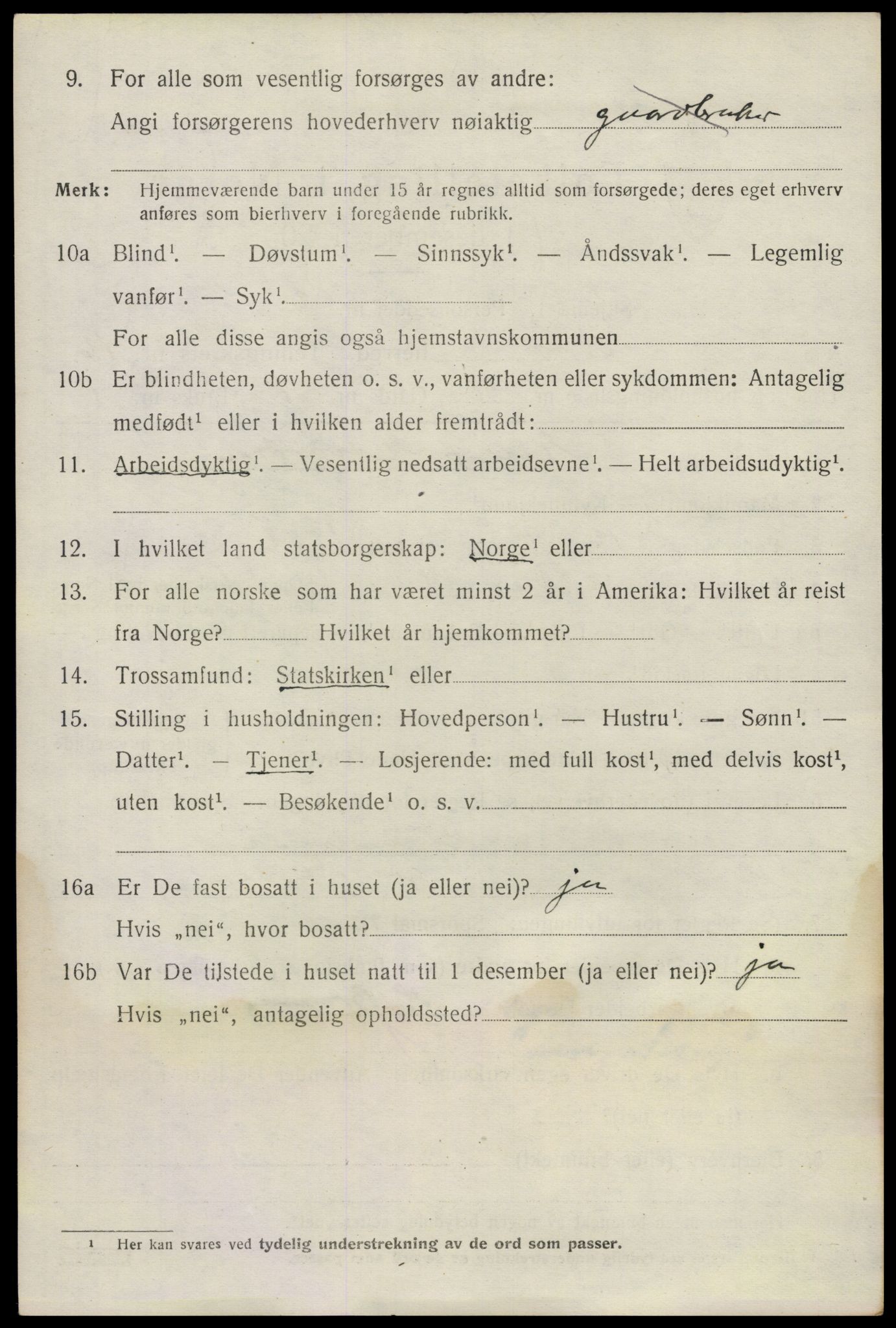 SAO, 1920 census for Nes, 1920, p. 15685