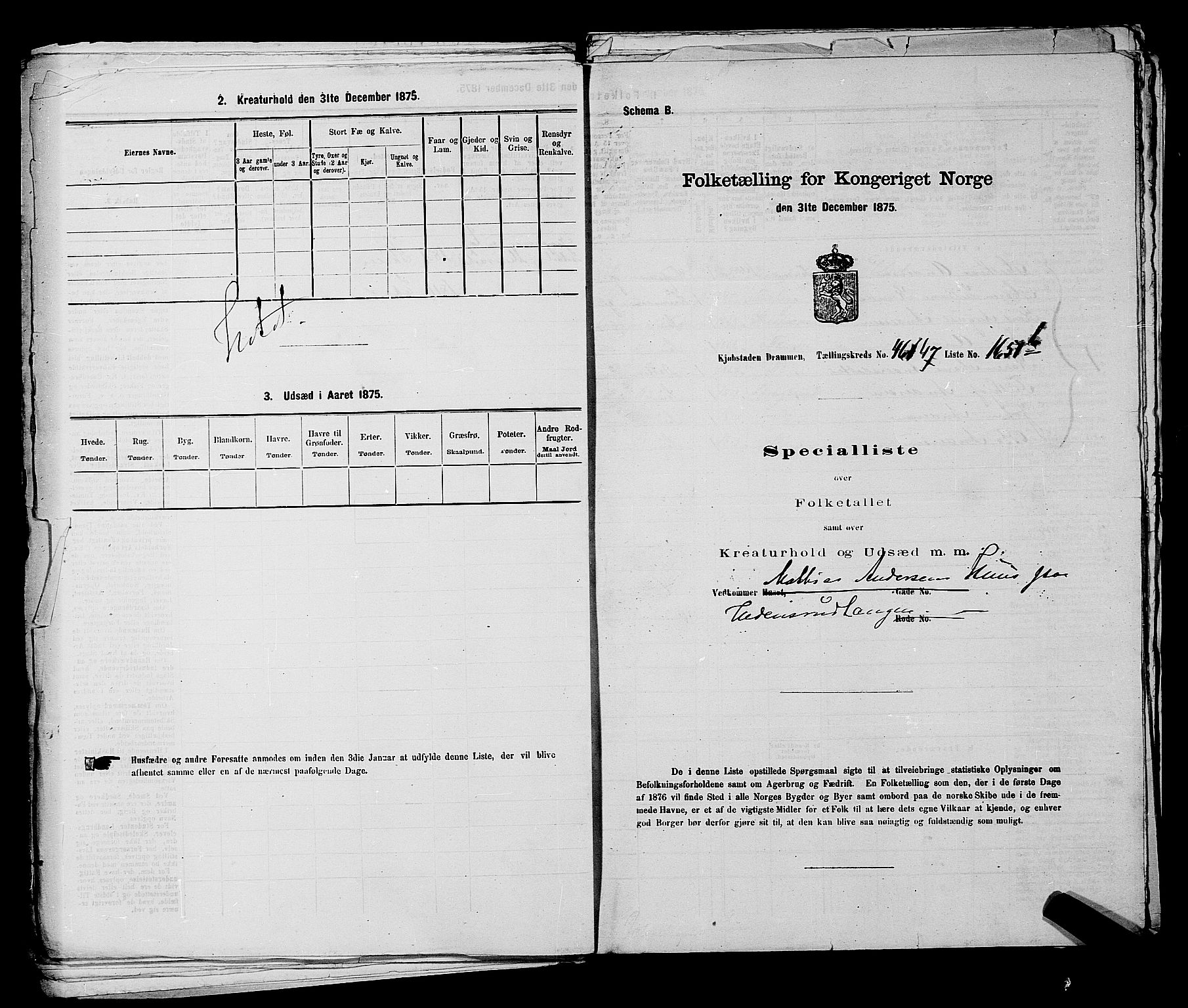 SAKO, 1875 census for 0602 Drammen, 1875, p. 3788