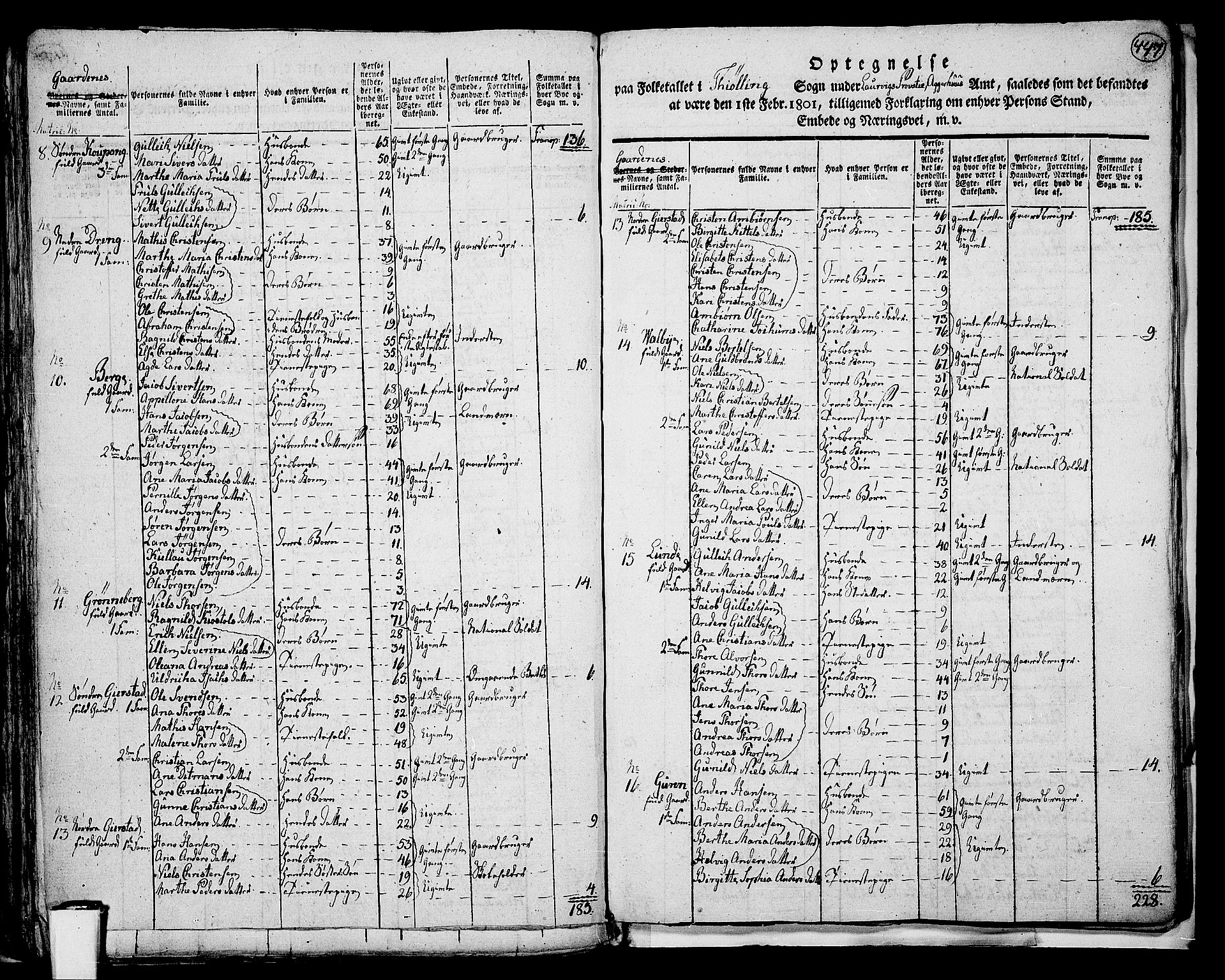 RA, 1801 census for 0725P Tjølling, 1801, p. 446b-447a