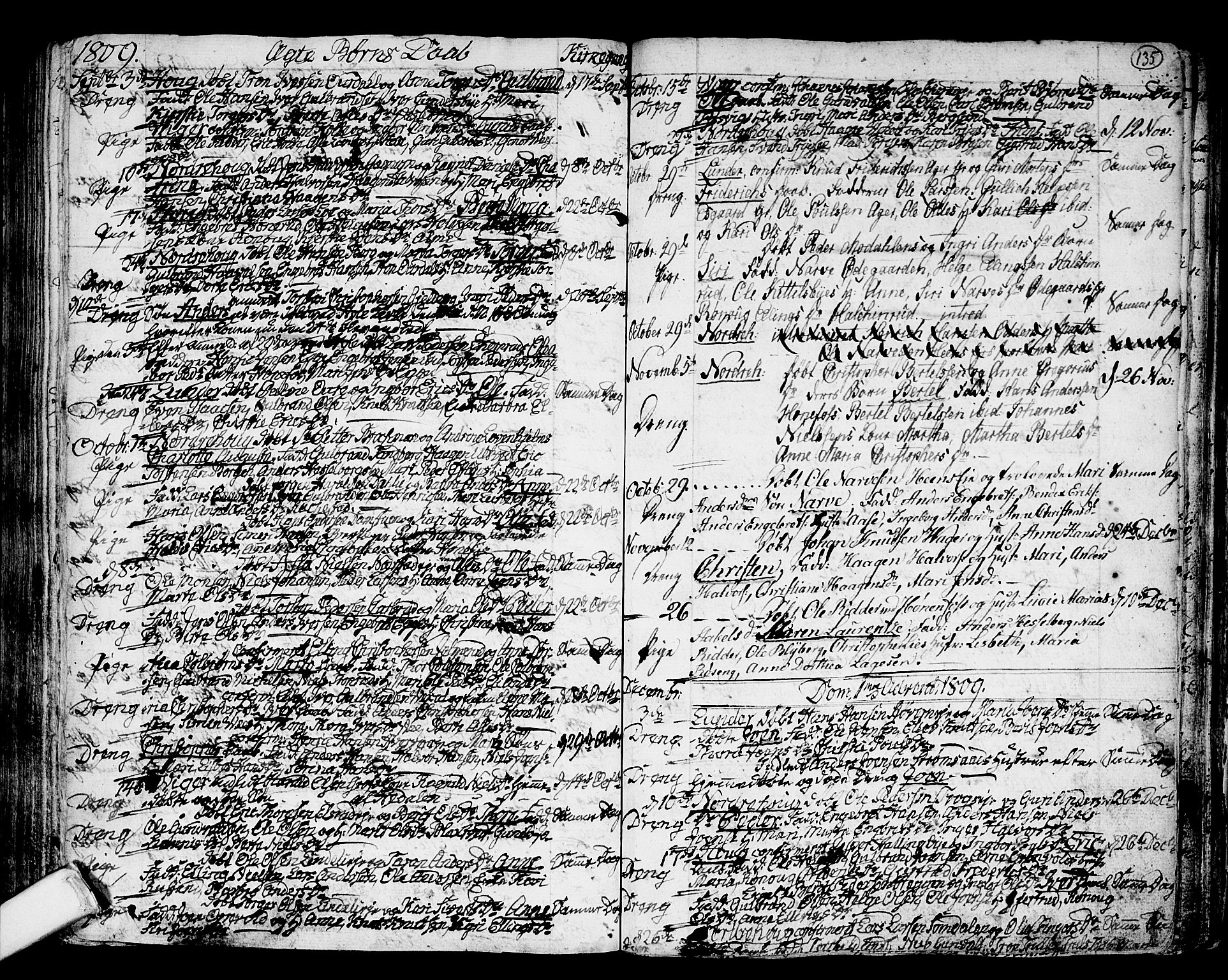 Norderhov kirkebøker, SAKO/A-237/F/Fa/L0006: Parish register (official) no. 6, 1789-1811, p. 135