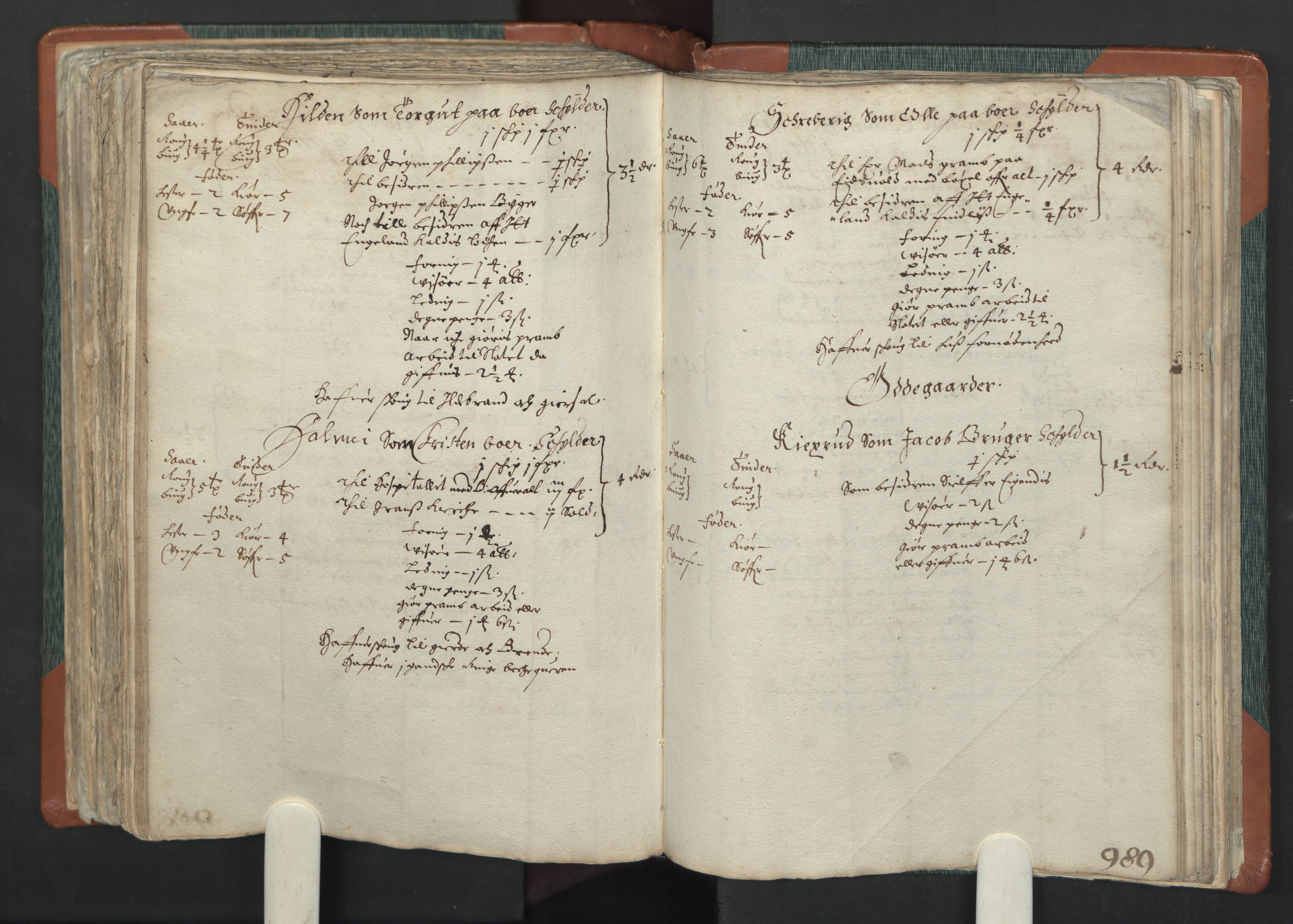 Rentekammeret inntil 1814, Realistisk ordnet avdeling, AV/RA-EA-4070/L/L0006: Kristiania lagdømme. Alminnelig jordebok med skatteligning for Lier, Hurum, Røyken, Ringerike og Nes i Hallingdal, samt Hadeland., 1661, p. 988b-989a