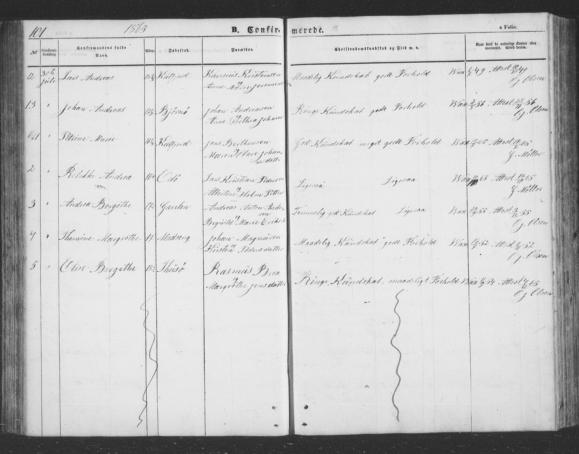 Lenvik sokneprestembete, AV/SATØ-S-1310/H/Ha/Hab/L0020klokker: Parish register (copy) no. 20, 1855-1883, p. 101