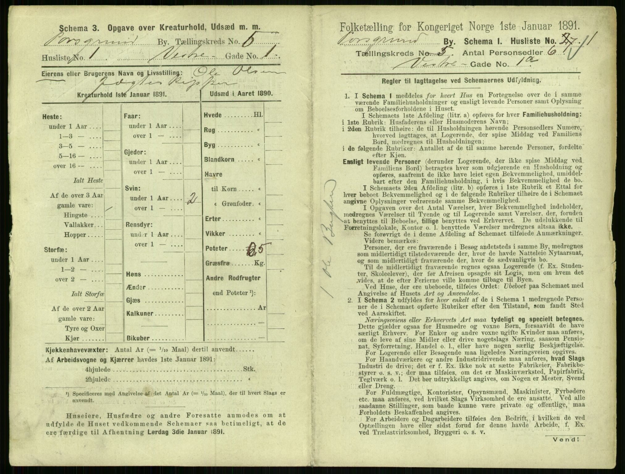 RA, 1891 census for 0805 Porsgrunn, 1891, p. 999